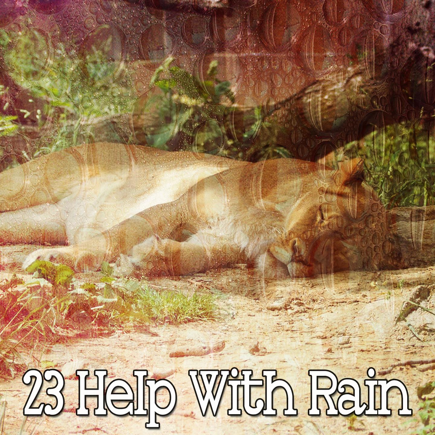 23 Help with Rain