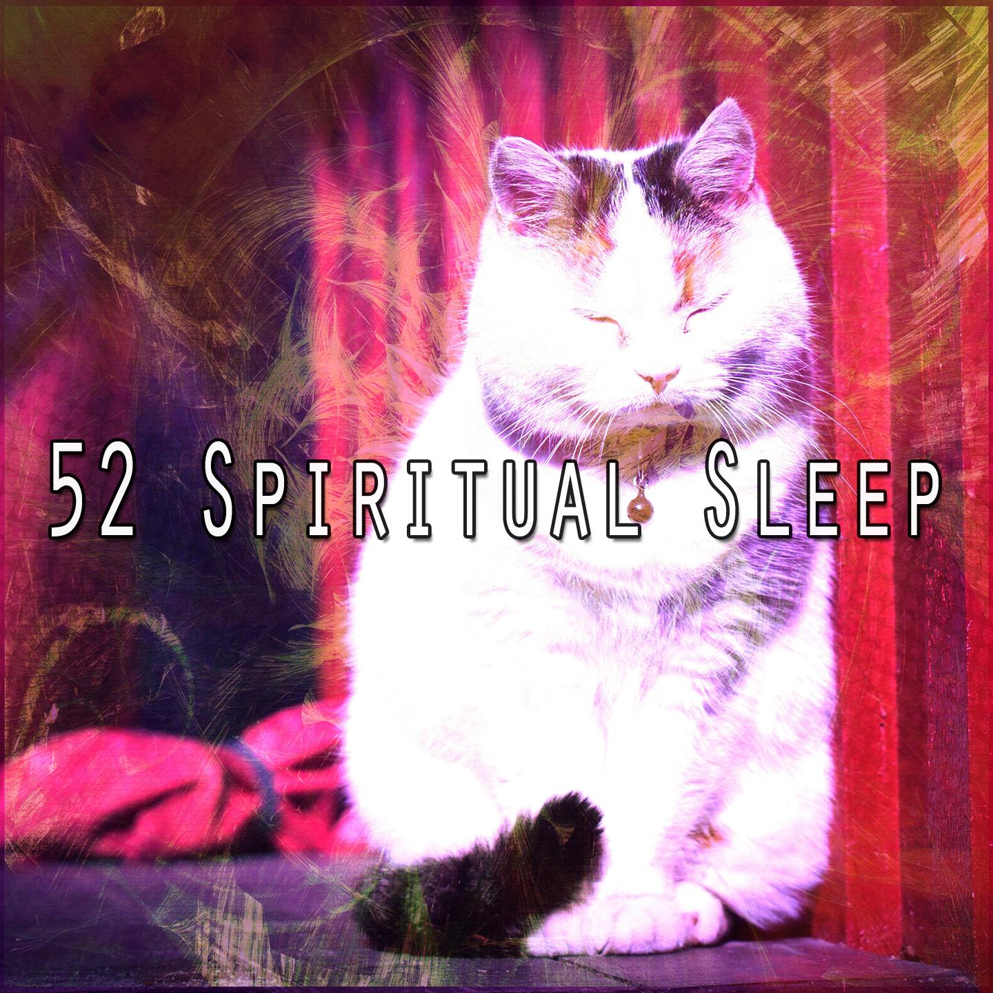 52 Spiritual Sleep