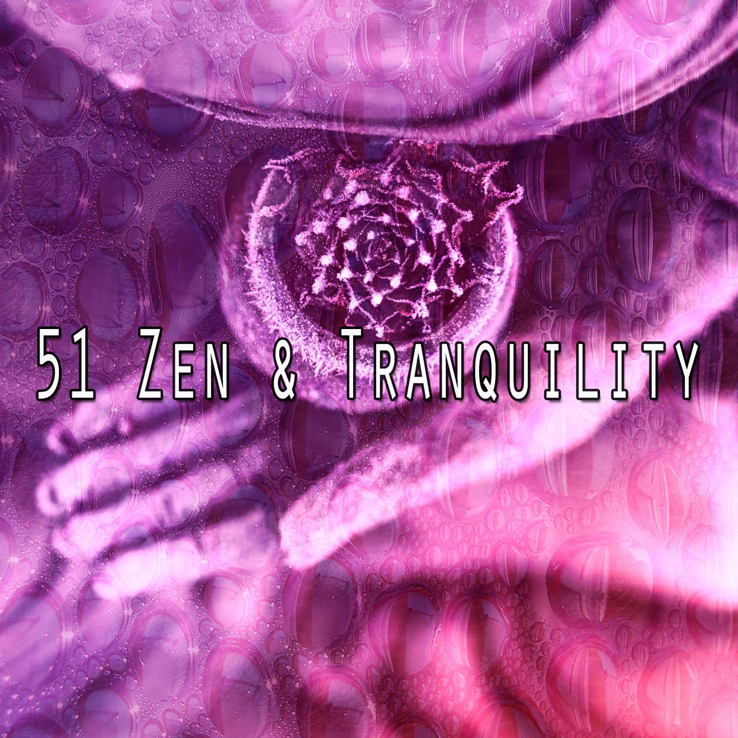 51 Zen & Tranquility