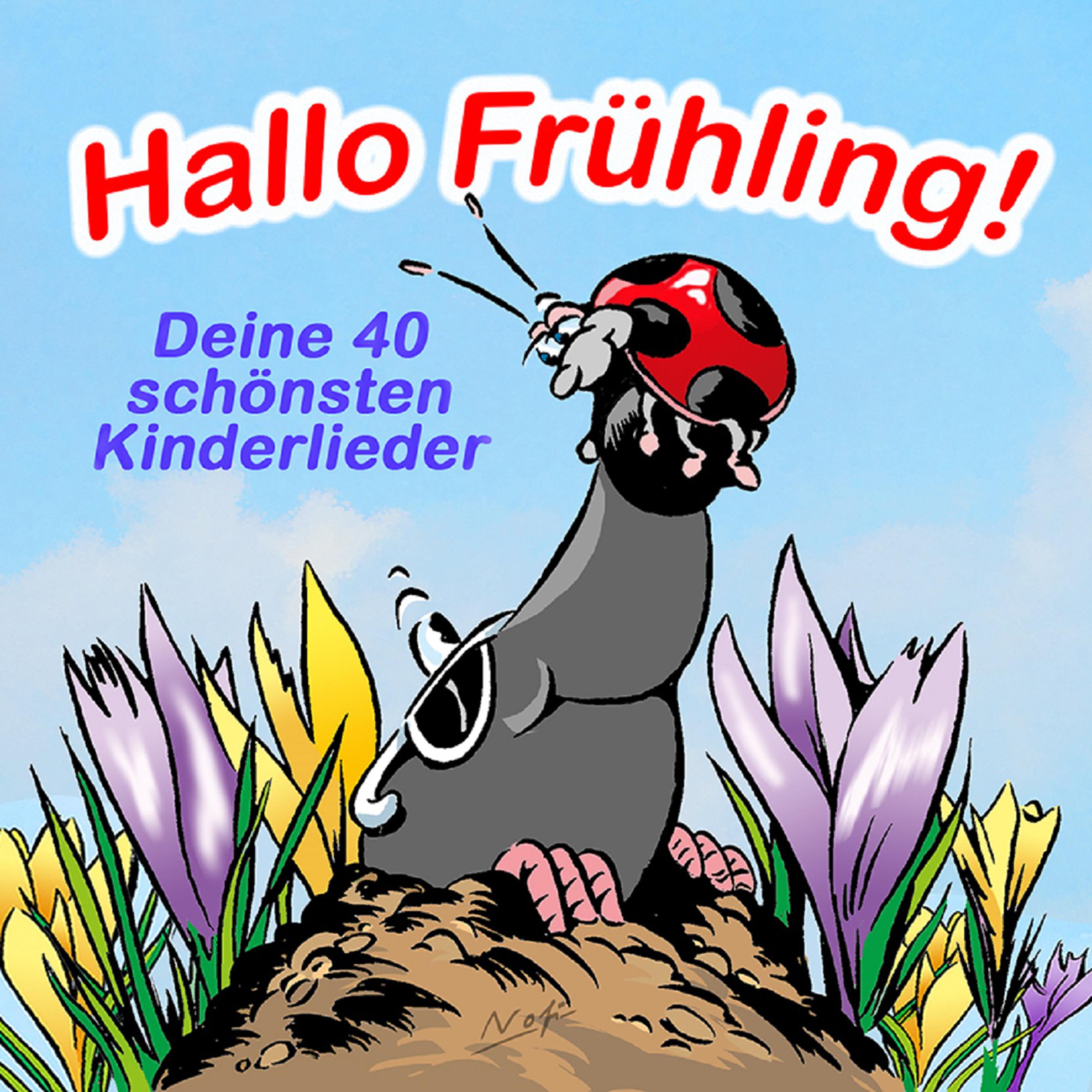 Hallo Frü hling!  Deine 40 sch nsten Kinderlieder