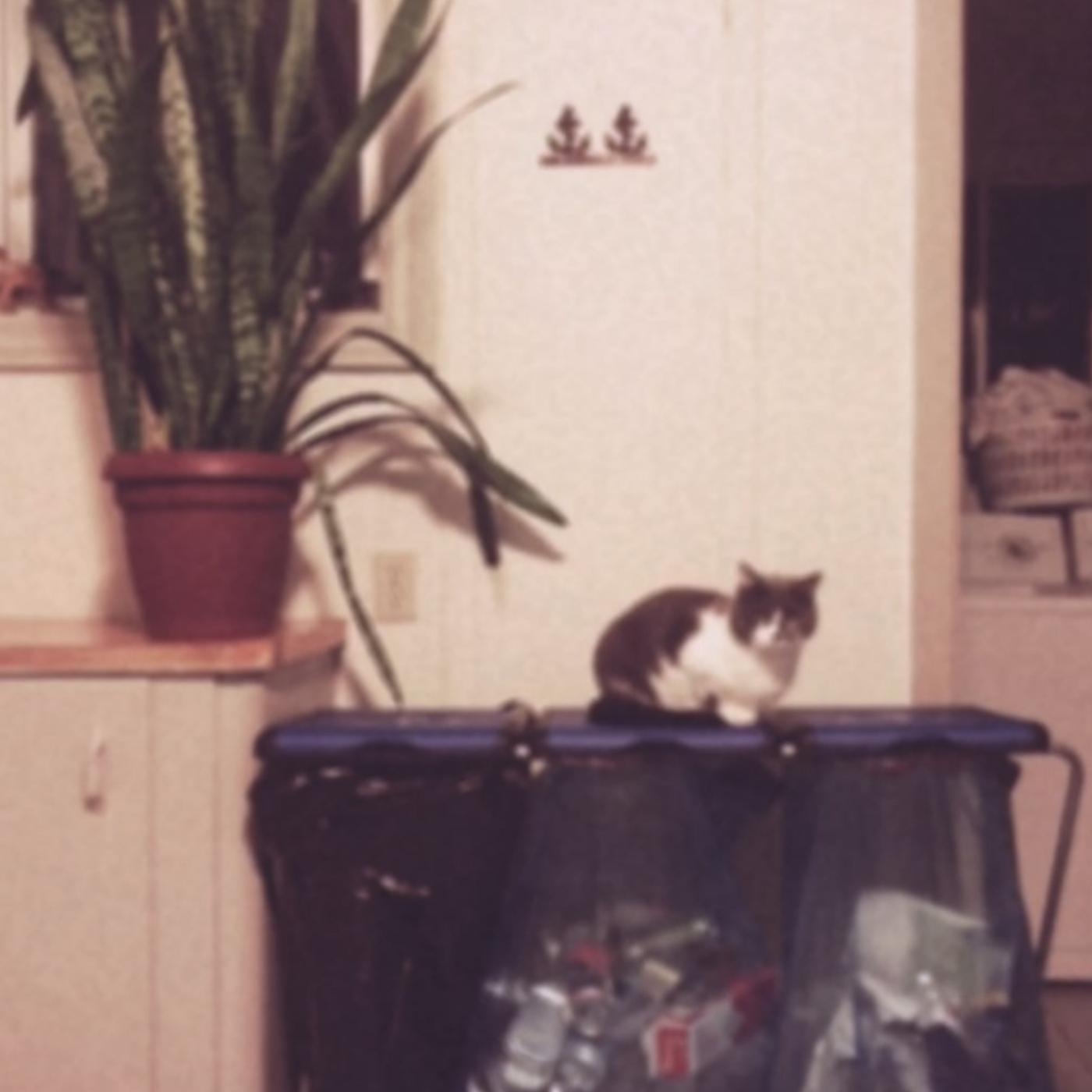 Ain't the One for Me