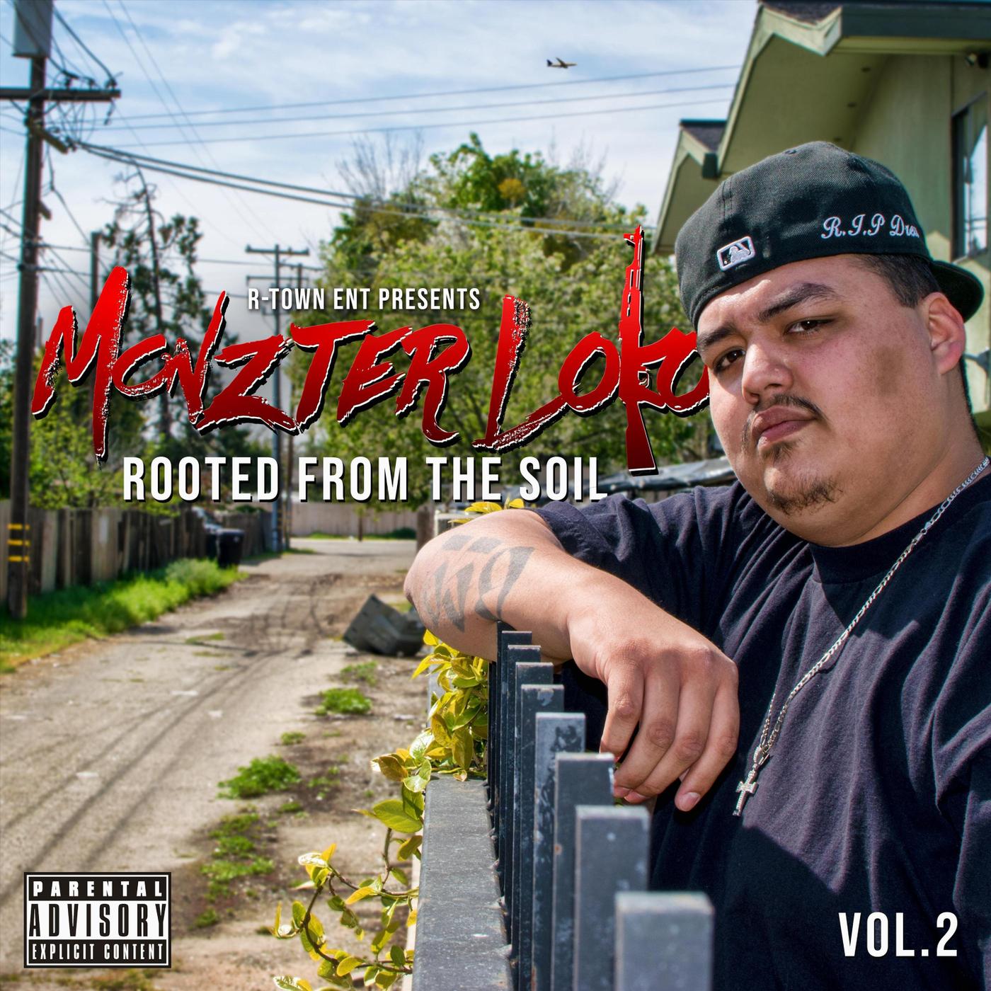 Rooted from the Soil, Vol. 2