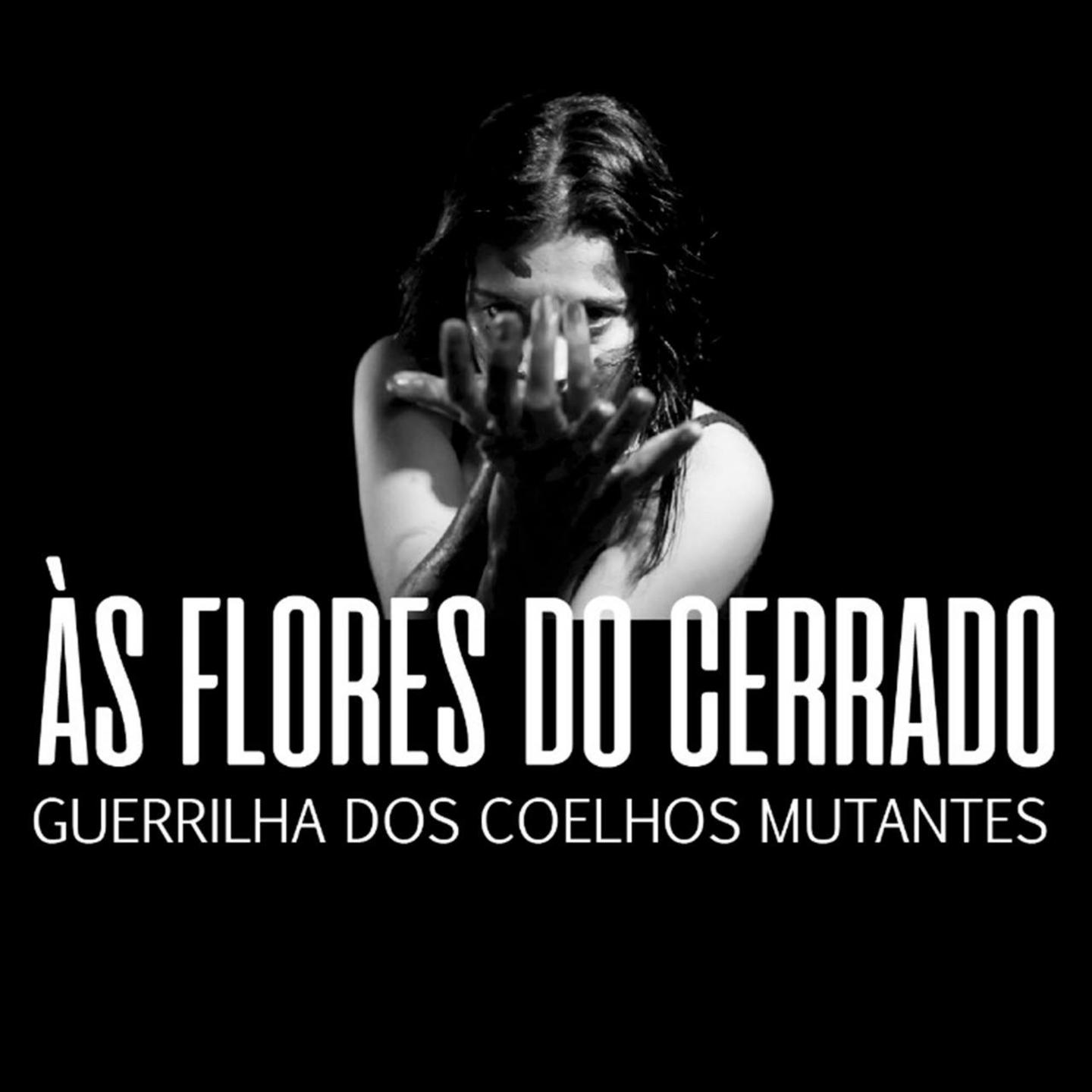 À s Flores do Cerrado