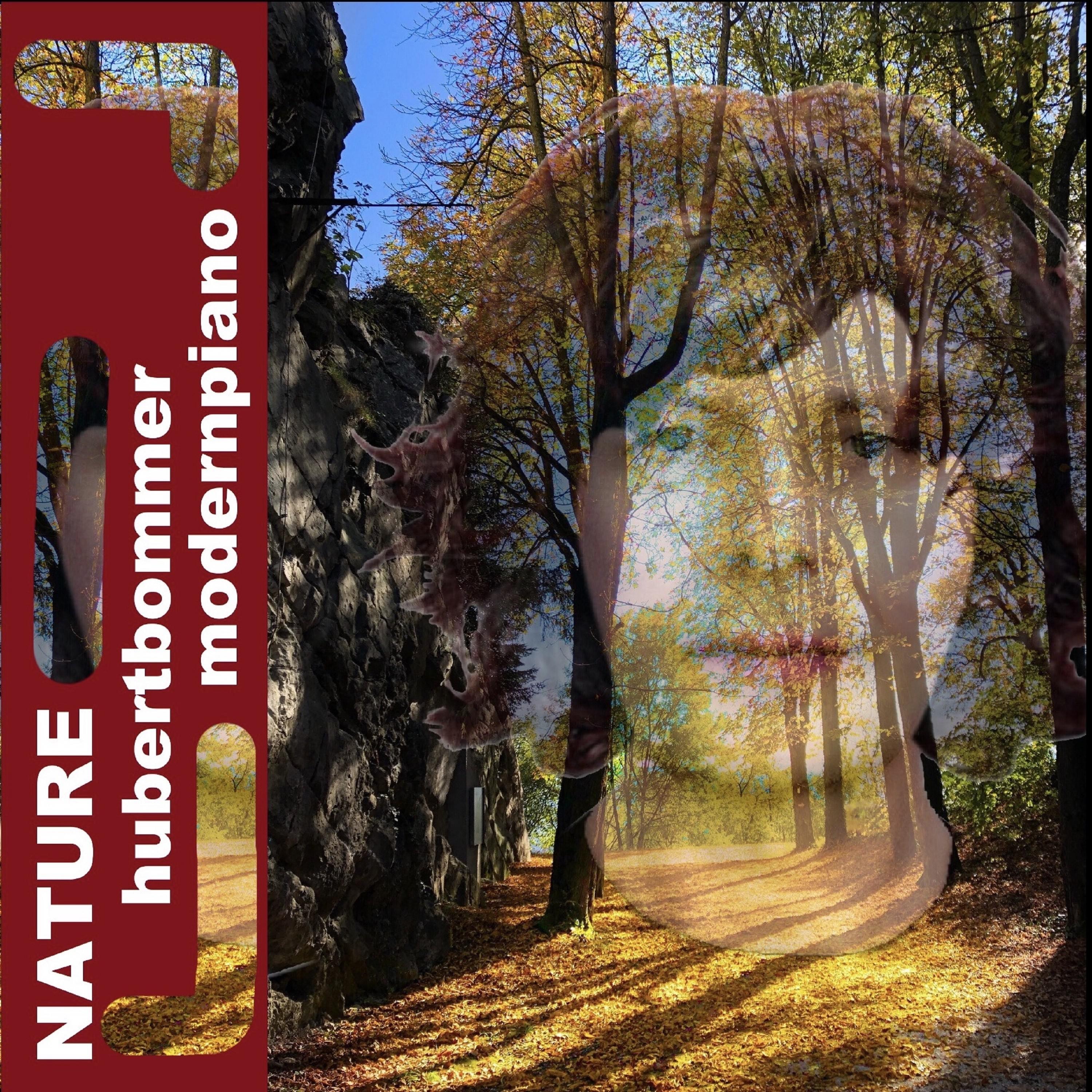 Beautiful Colours from Nature