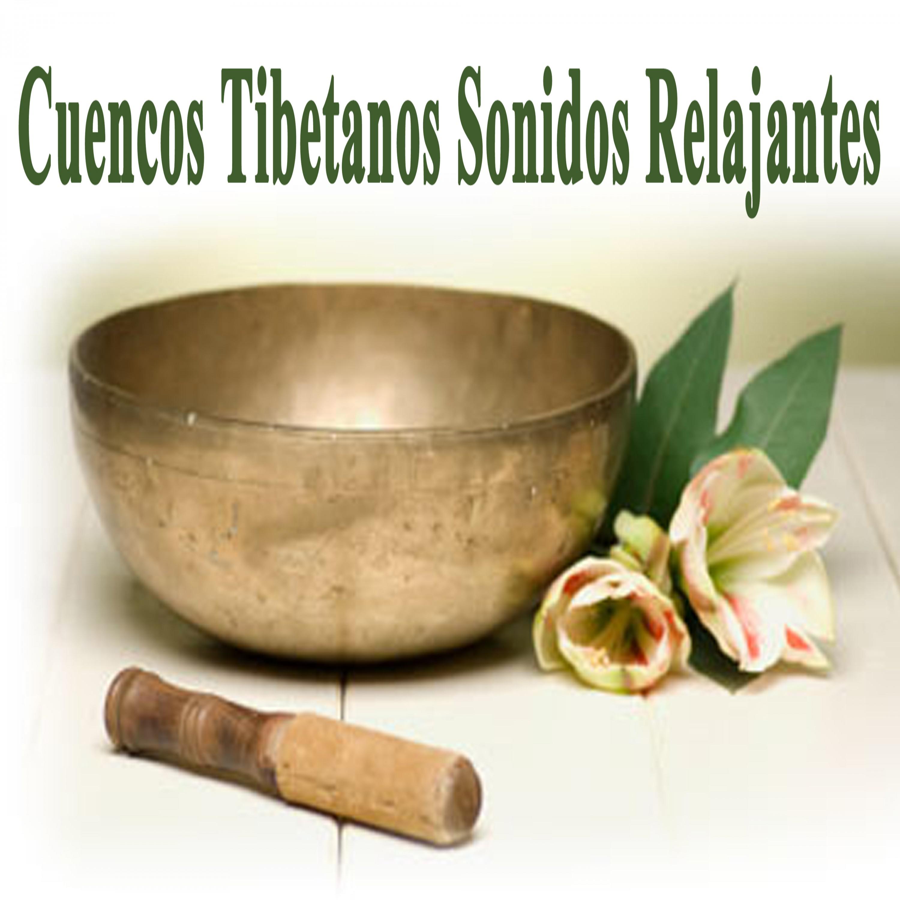 Cuencos Tibetanos Sonidos Relajantes Con Agua, Dormir, Meditacio n, Relajacio n, Armonizar Chakras  Mu sica Tibetana Relajante Budista para Meditar o Dormir