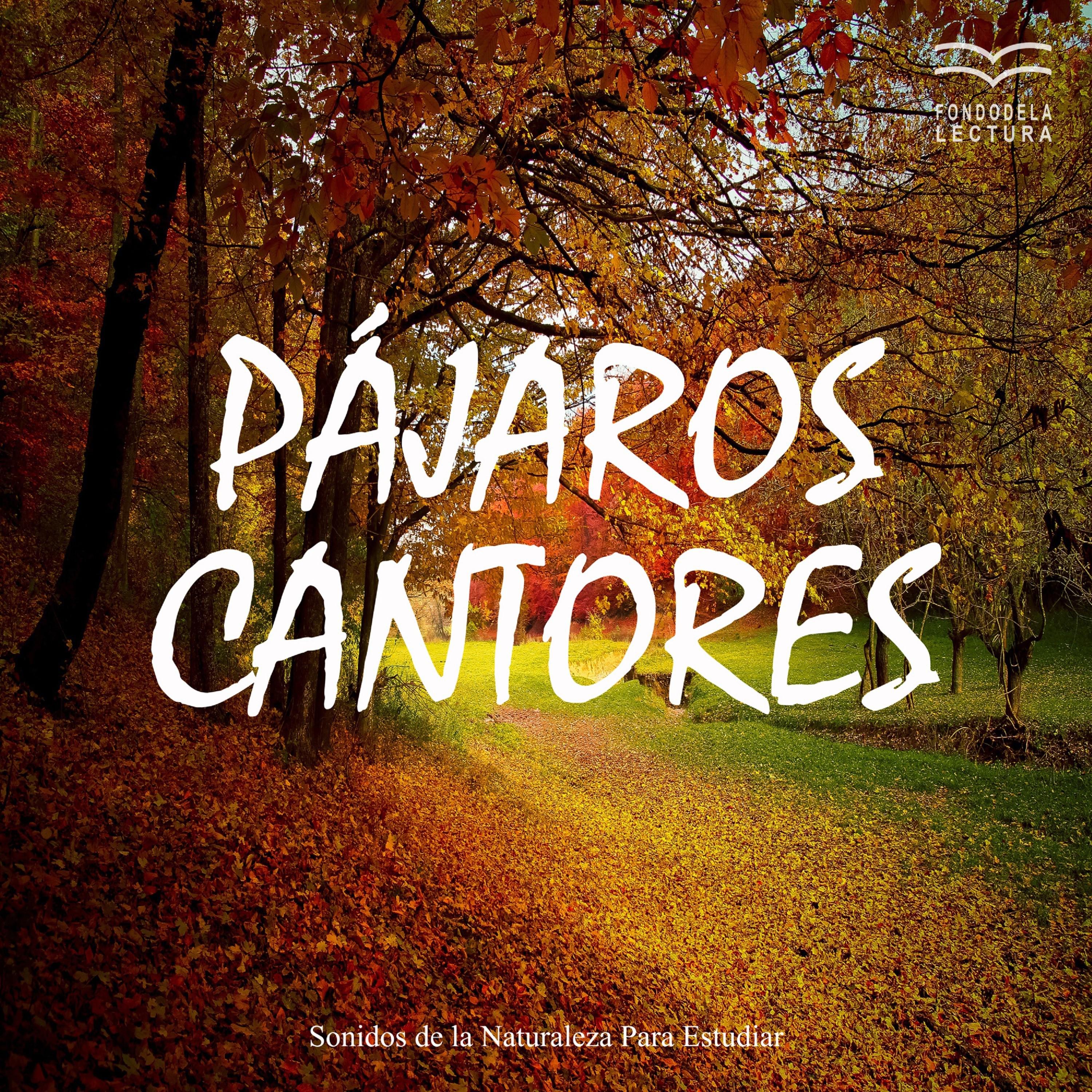 Sonidos de la Naturaleza para Estudiar: Pa jaros Cantores