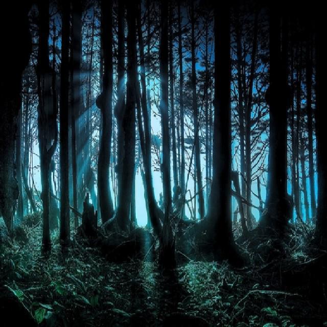 P.s.y-J.u.n.g.l.e T.e.r.r.o.r