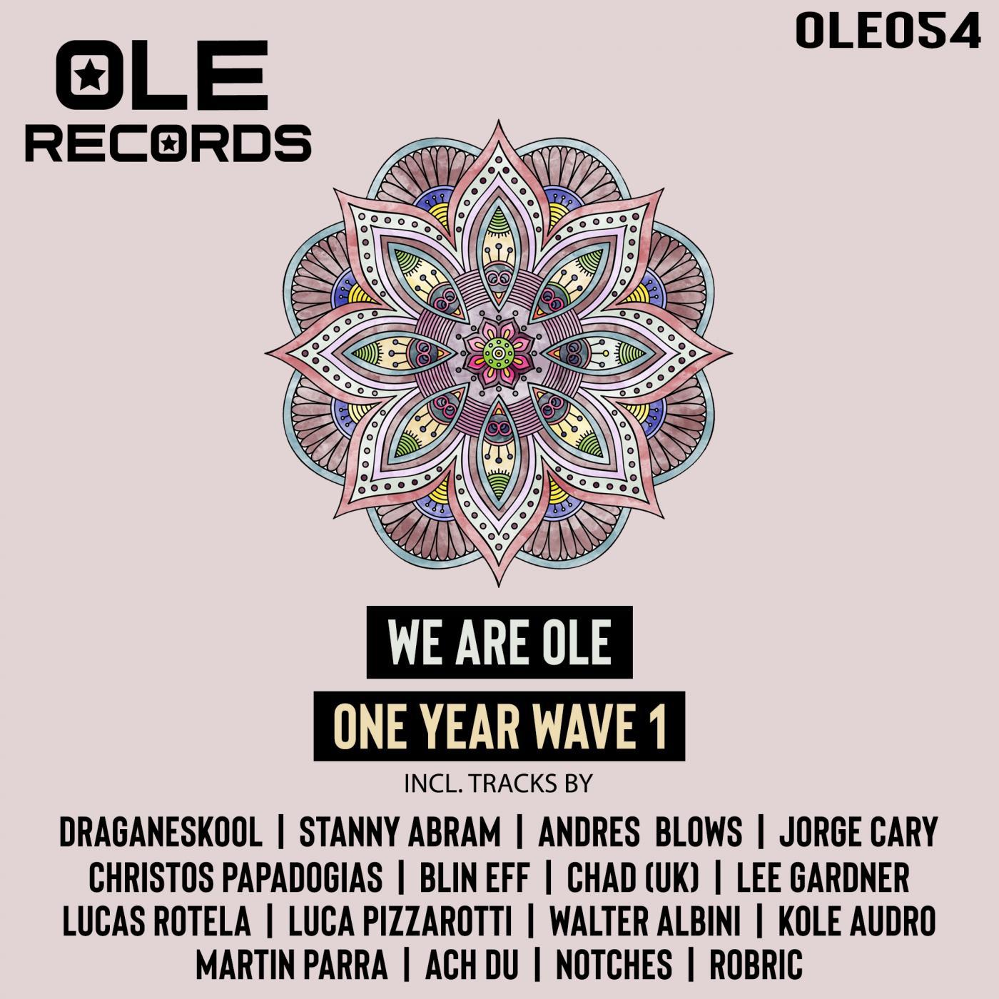 We Are Ole One Year Wave 1