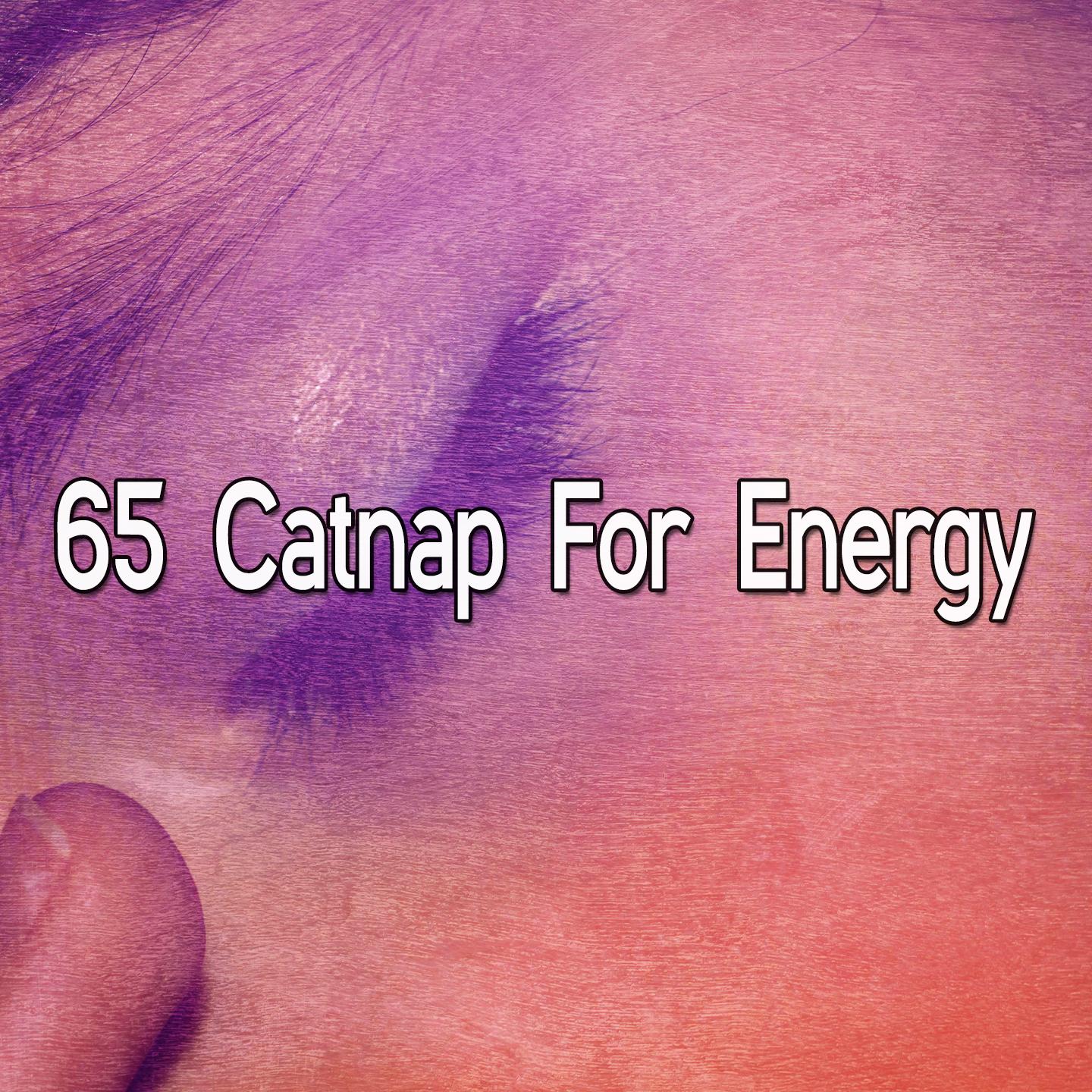 65 Catnap for Energy
