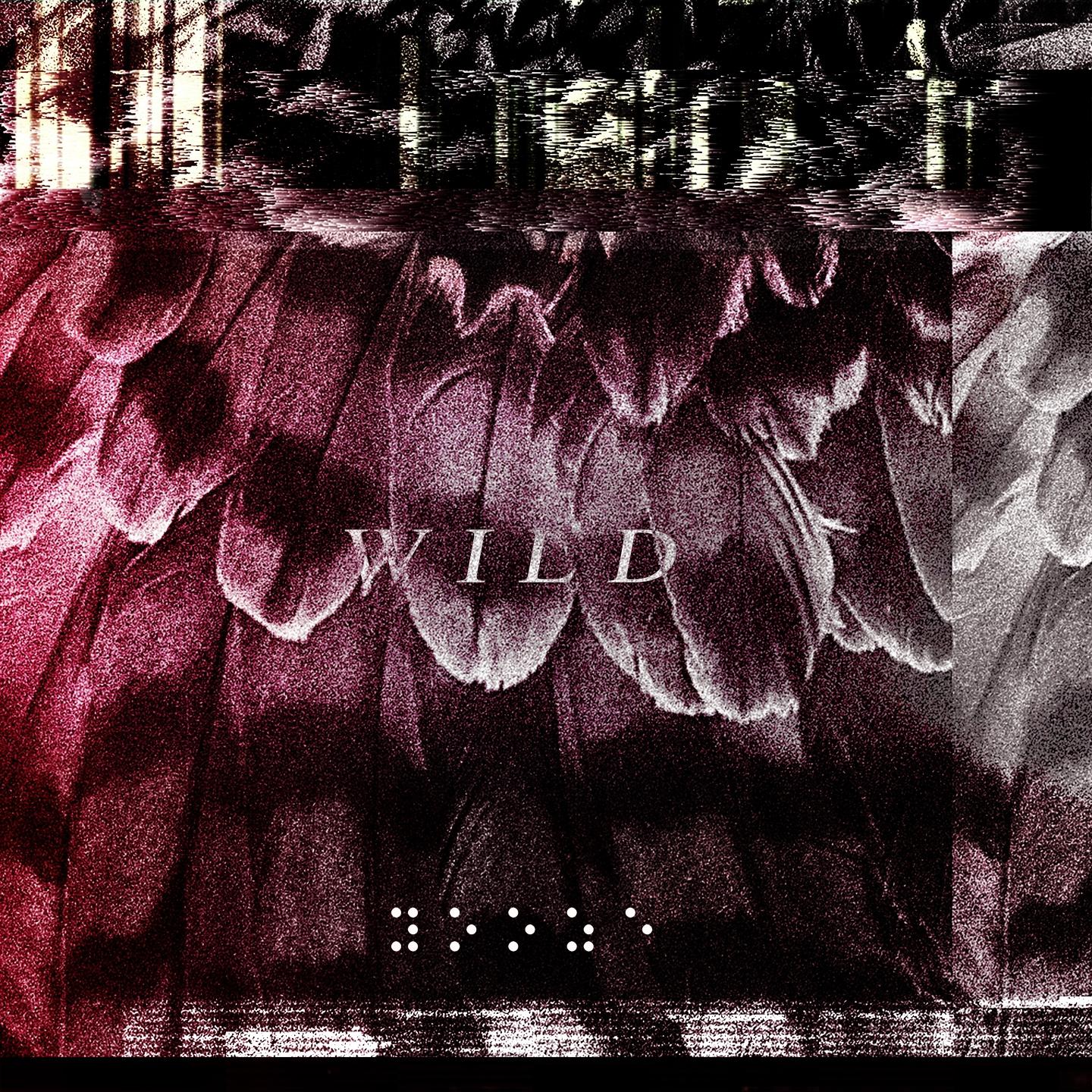 Bloodshot Eyes & Broken Hearts