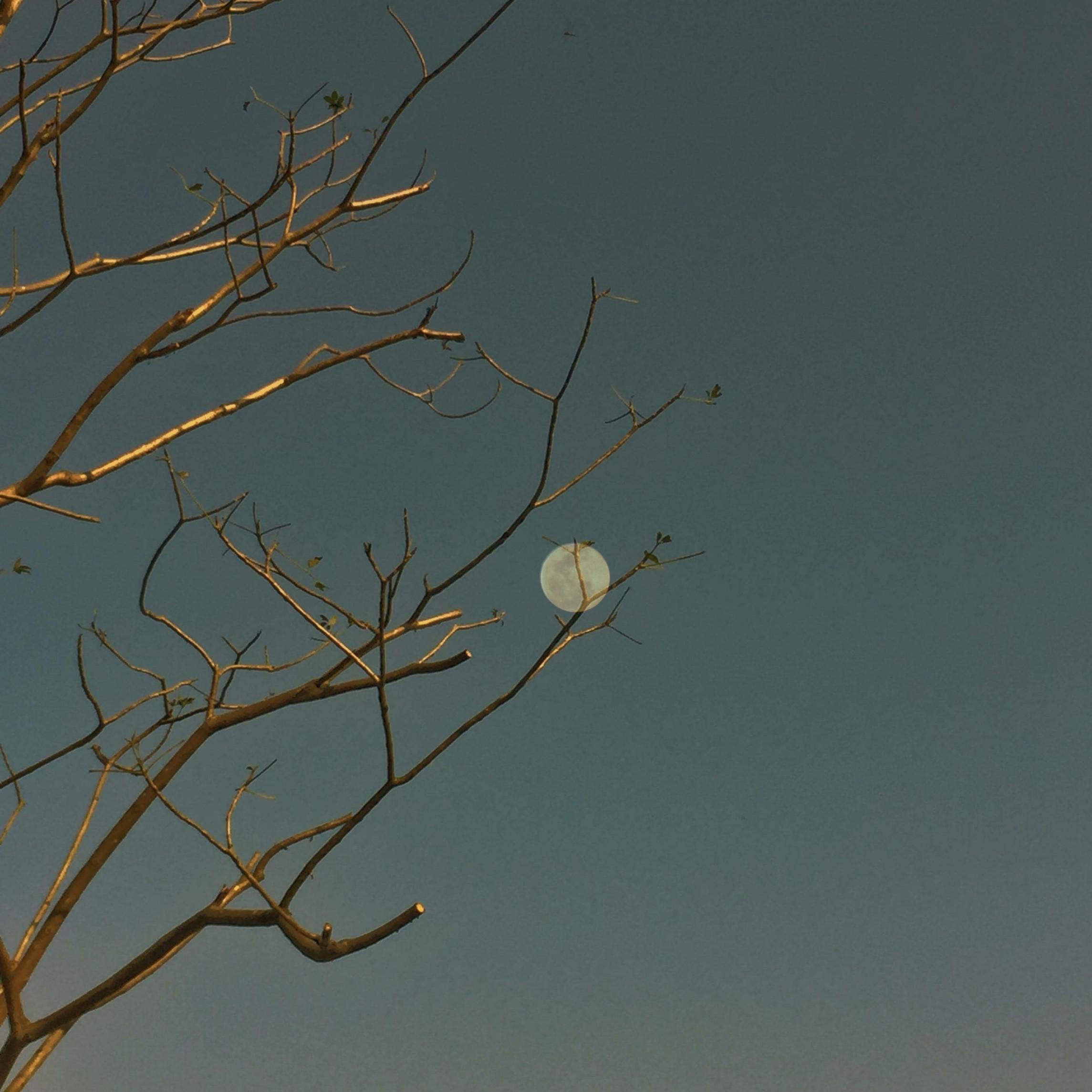 dui bu qi mei neng pei ni bu ru shan he kan chao qi chao luo