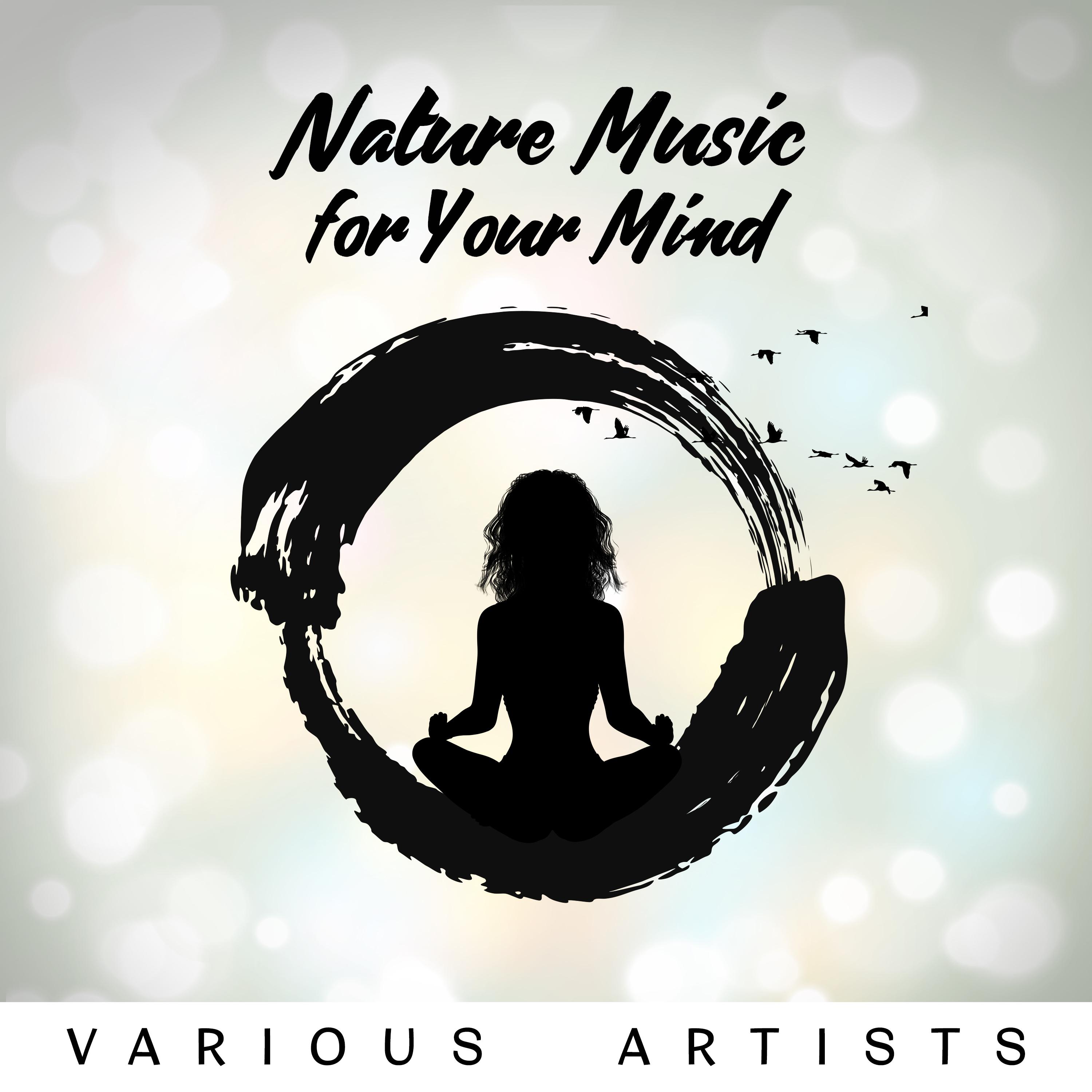 Nature Music for Your Mind  Soothing Therapy Sounds, Relaxation for Your Body and Soul, Destressing and Releasing Thoughts