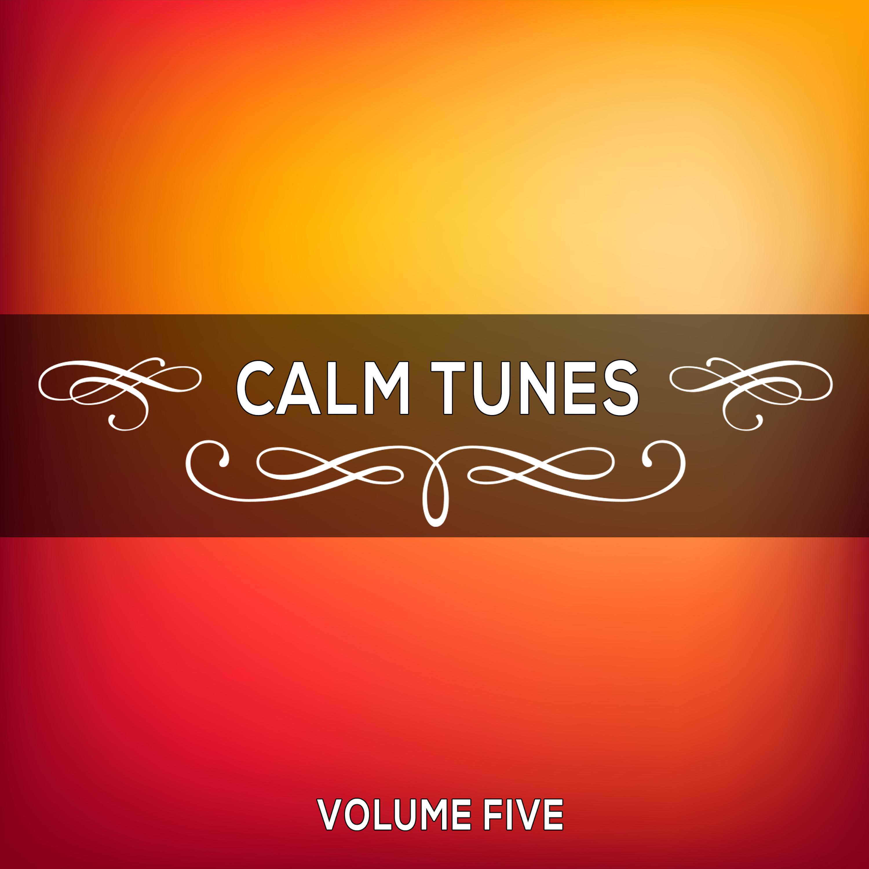 Calm Tunes, Vol. 05