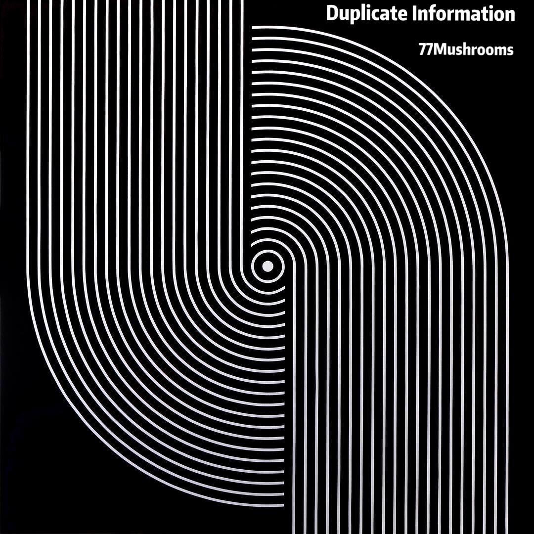 Duplicate Information