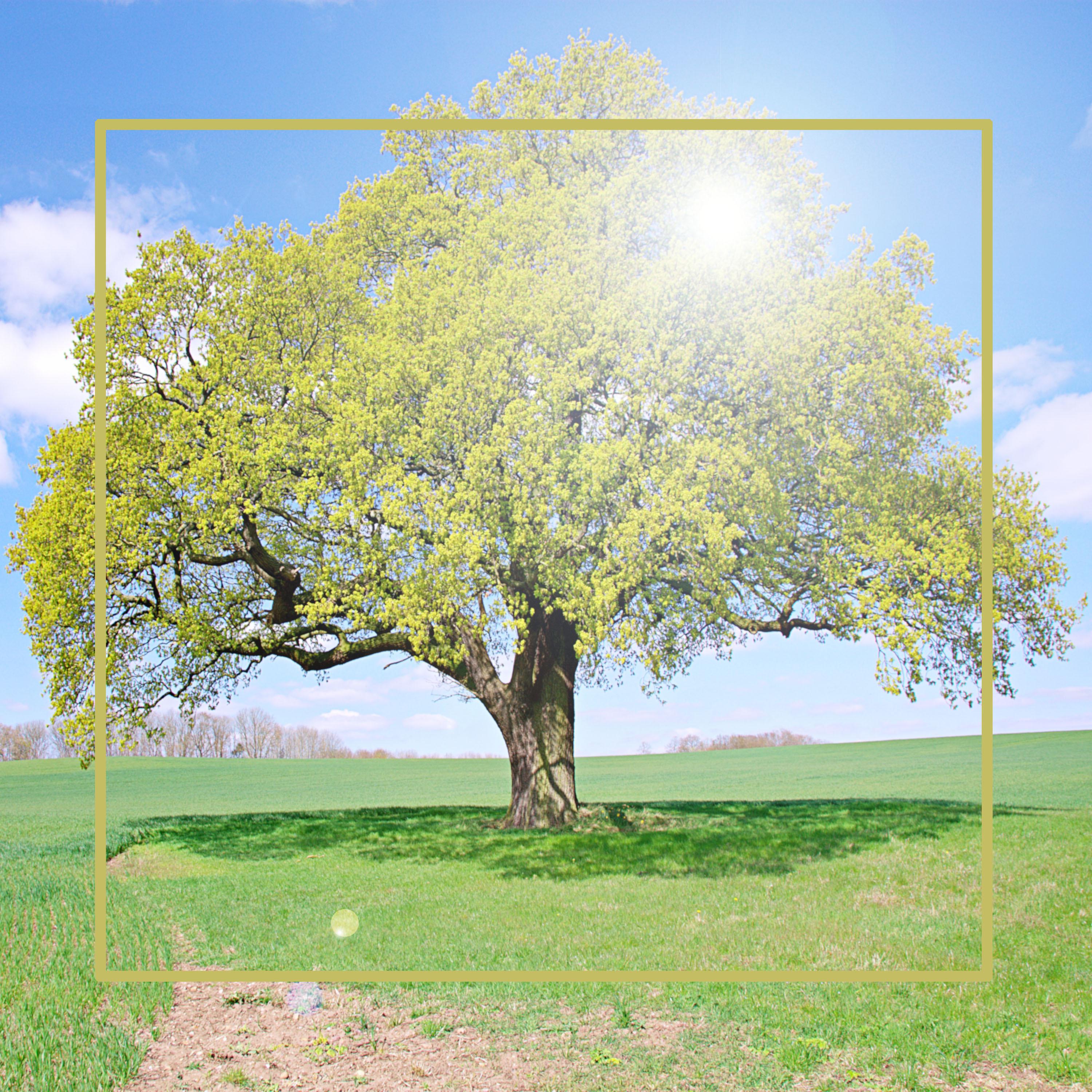 Music For You When You Need Some Alone Time