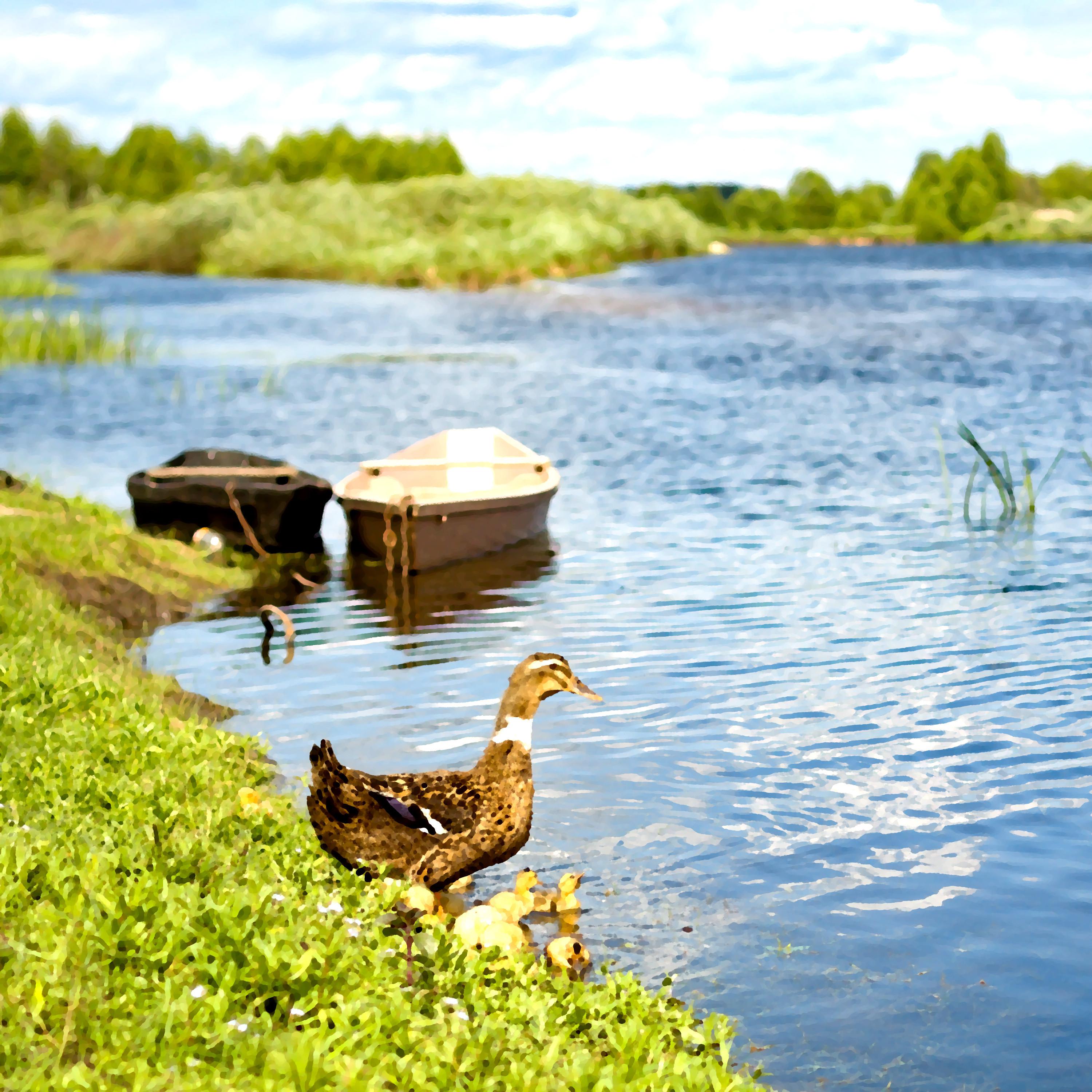 Healing Meditation Piano To Bring Energy To Your Life
