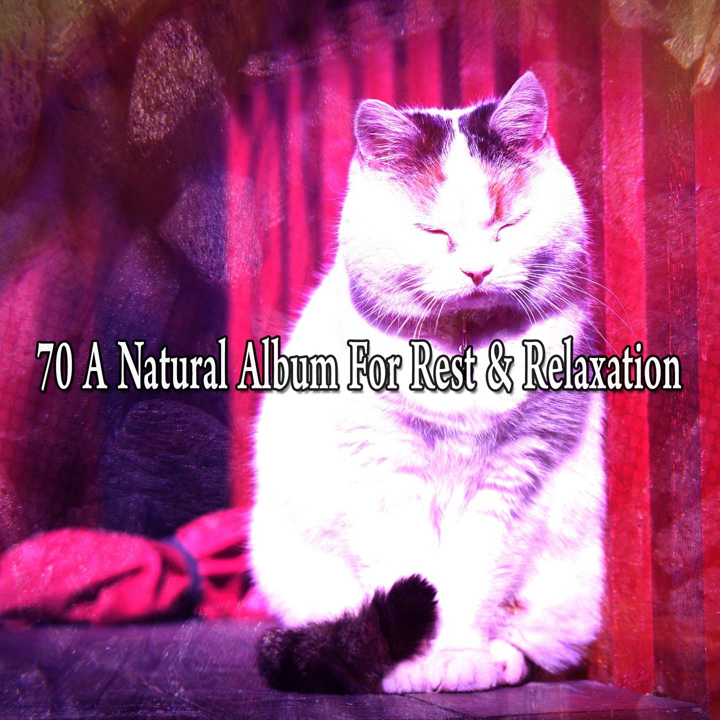 70 A Natural Album for Rest & Relaxation
