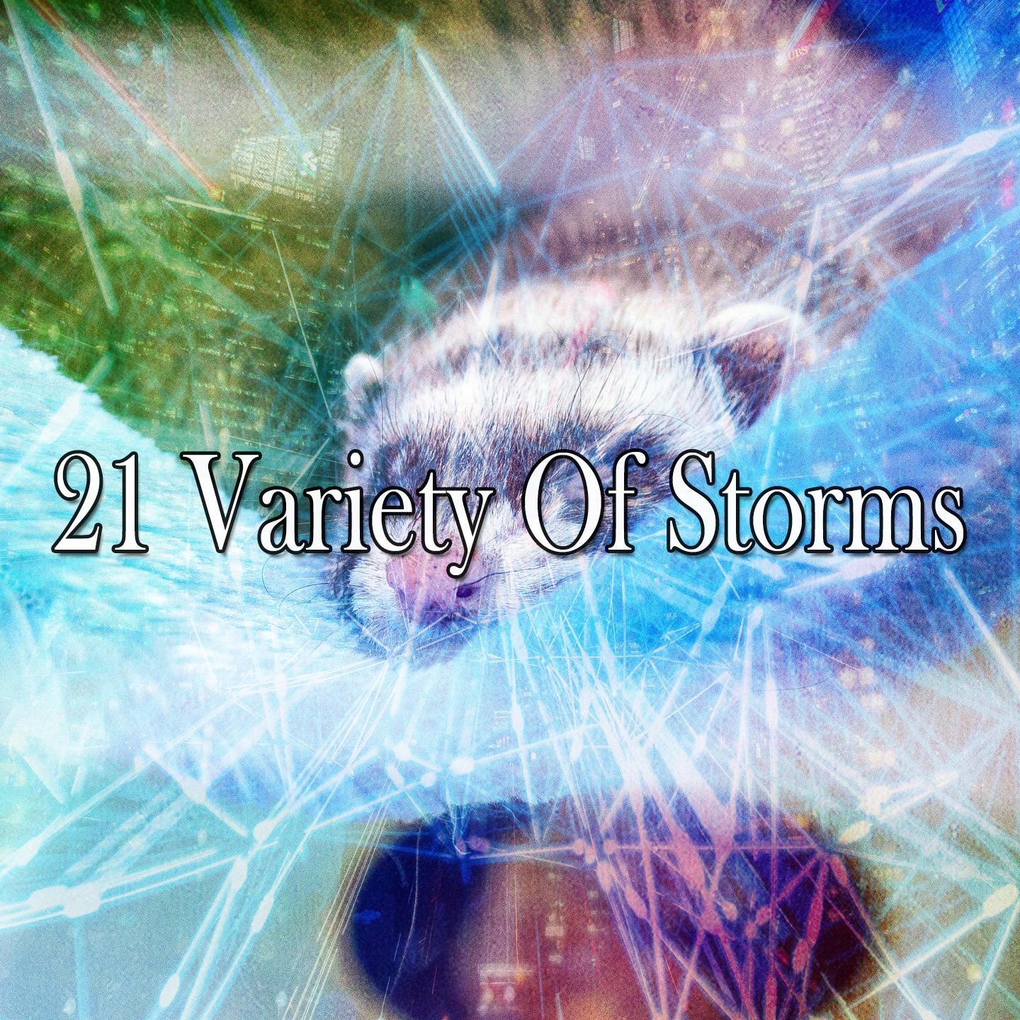 21 Variety of Storms