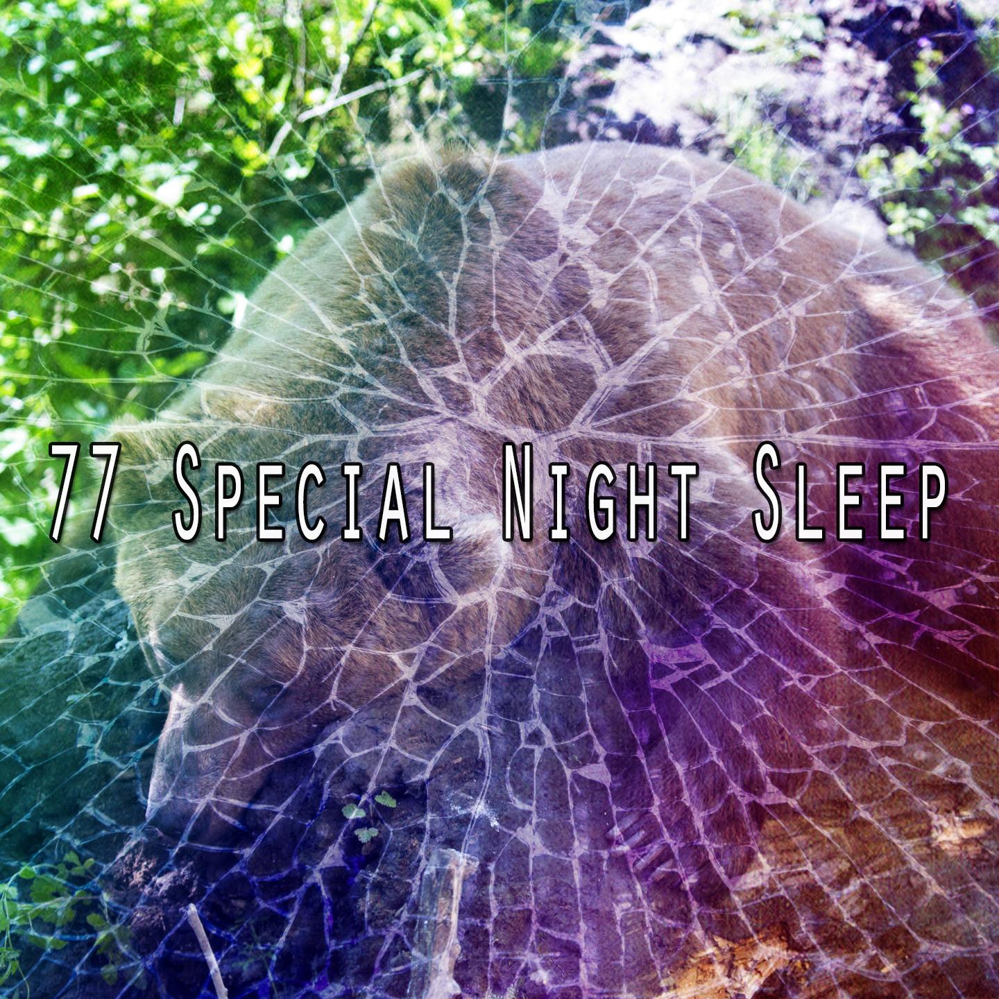 77 Special Night Sleep