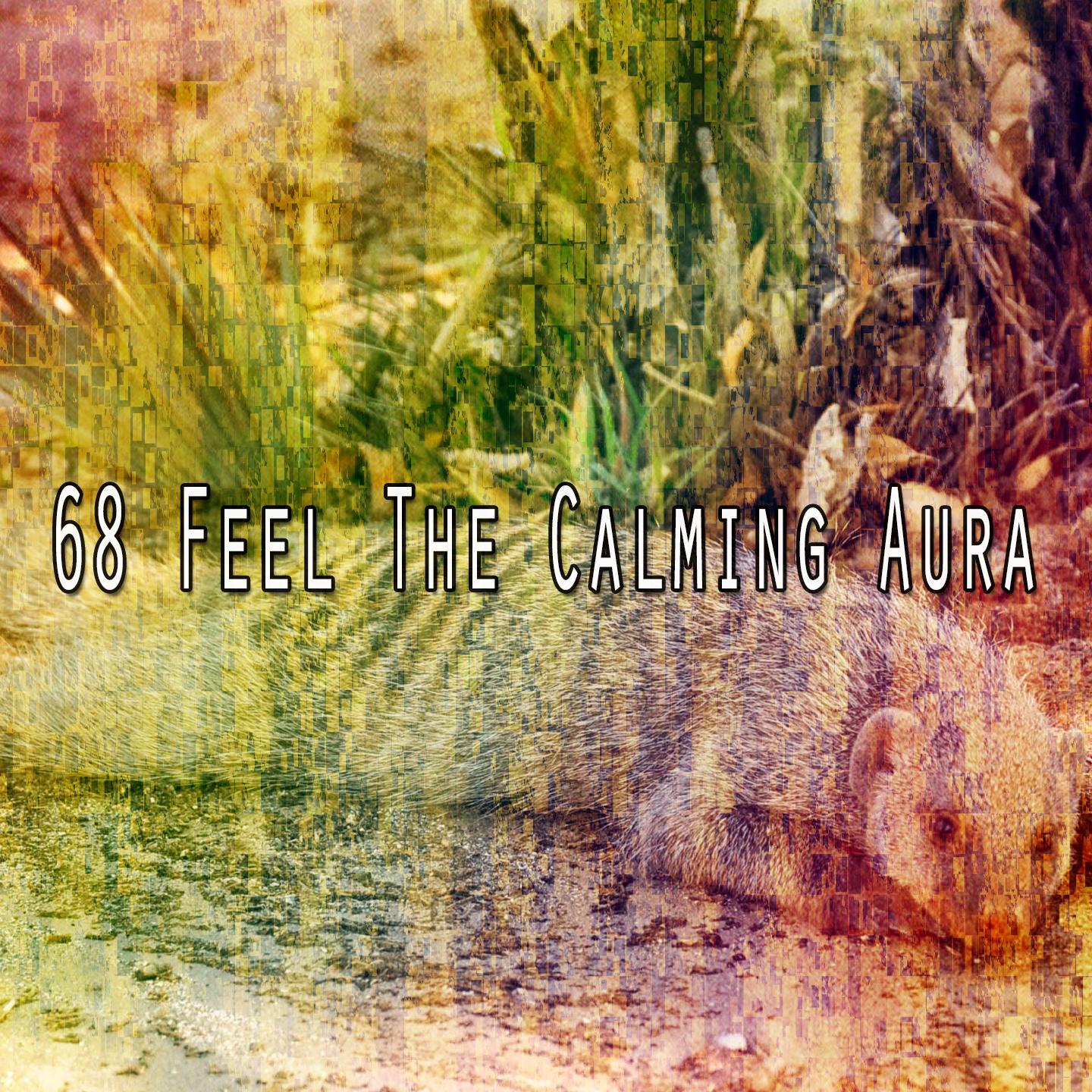 68 Feel the Calming Aura
