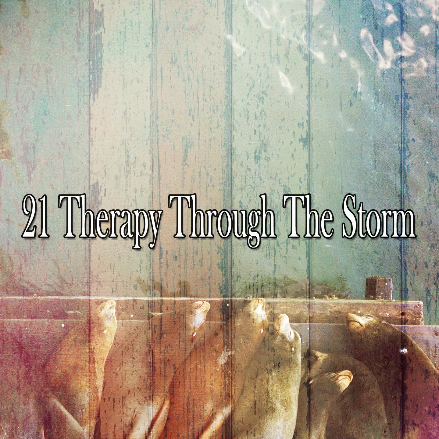 21 Therapy Through the Storm
