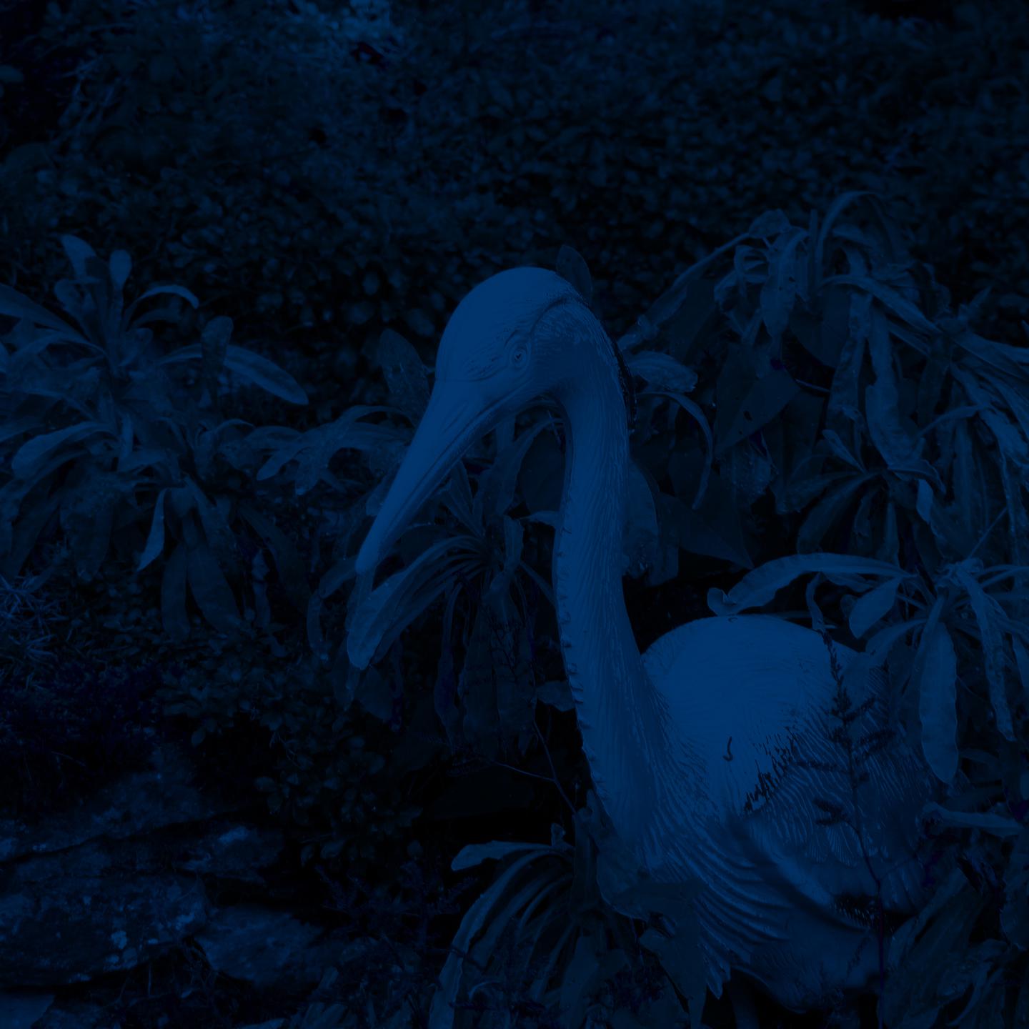 Si le he ron est la, la tron onneuse n' est pas loin