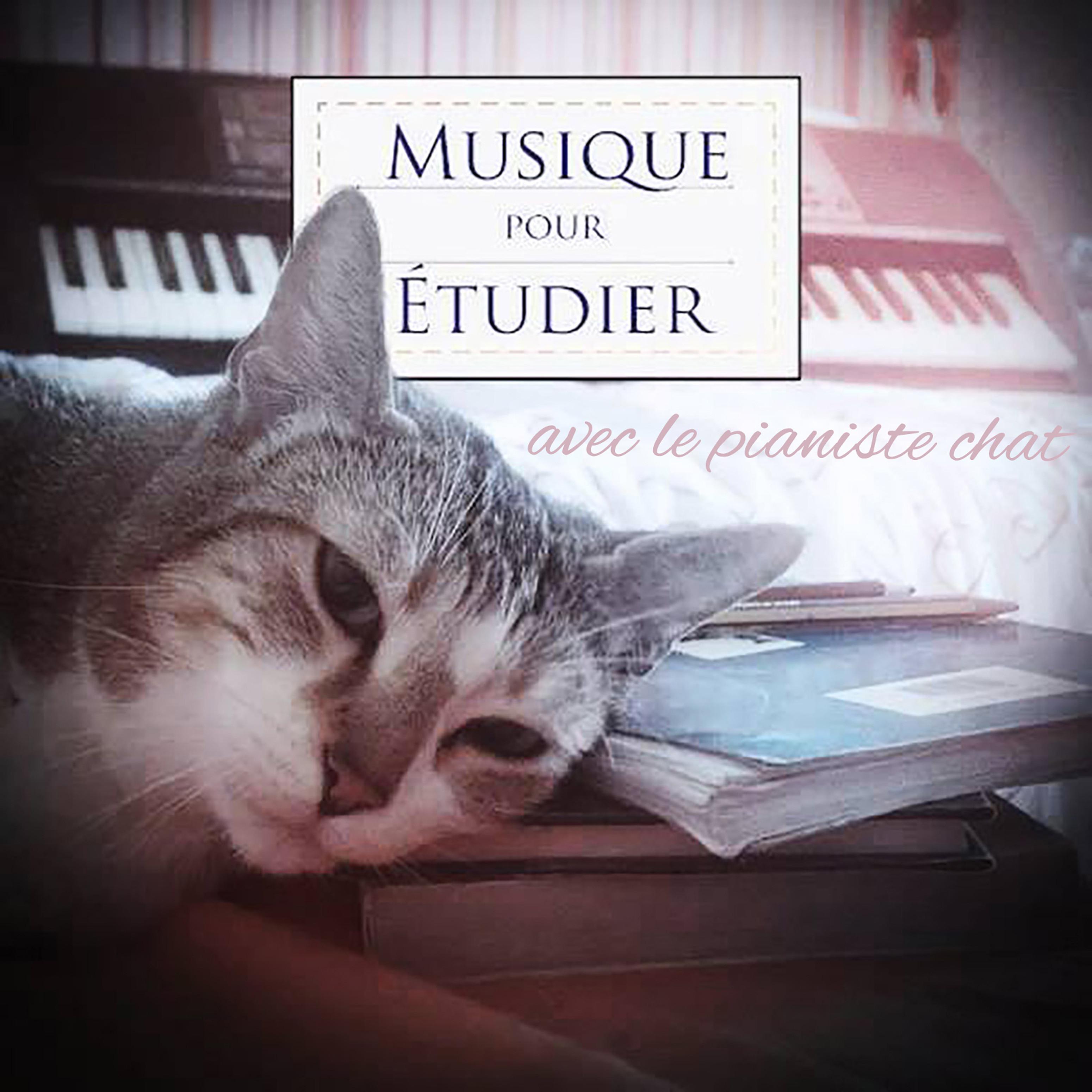 Intelligente Scholar Chat