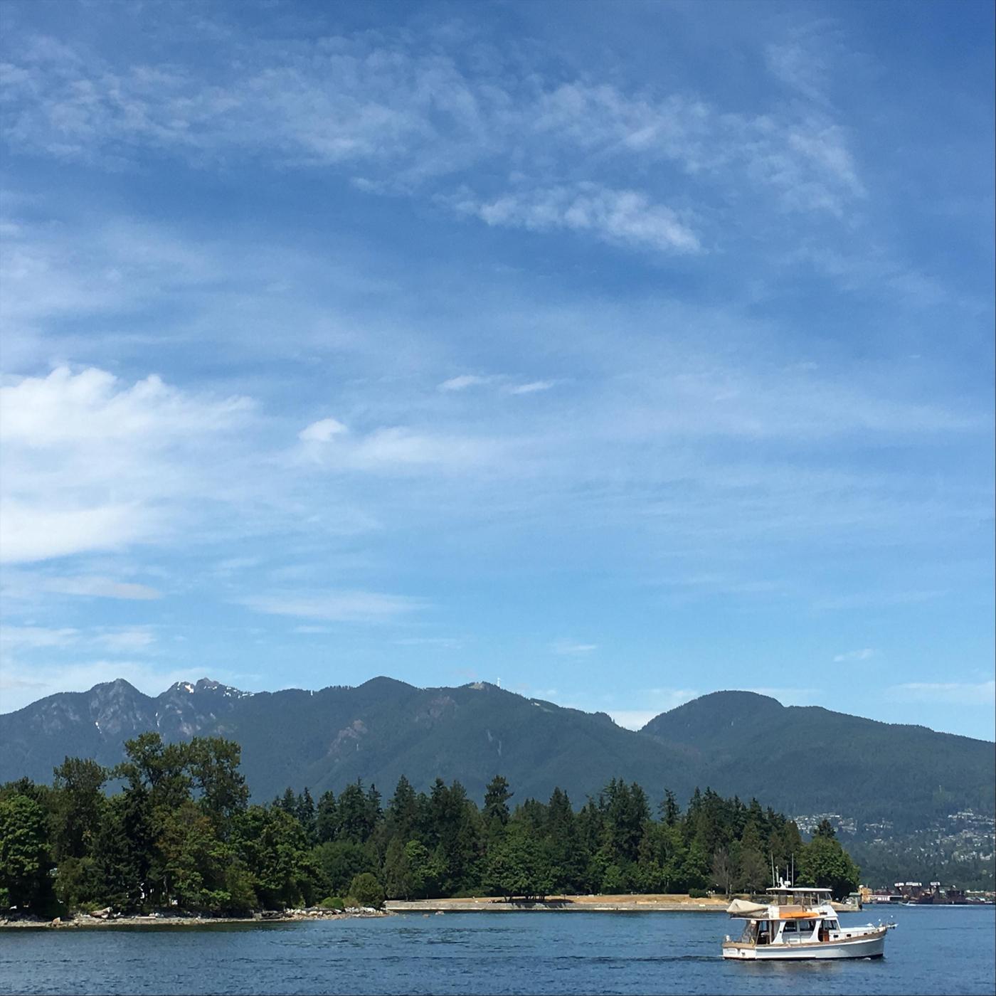 I Got the Same Old Blues