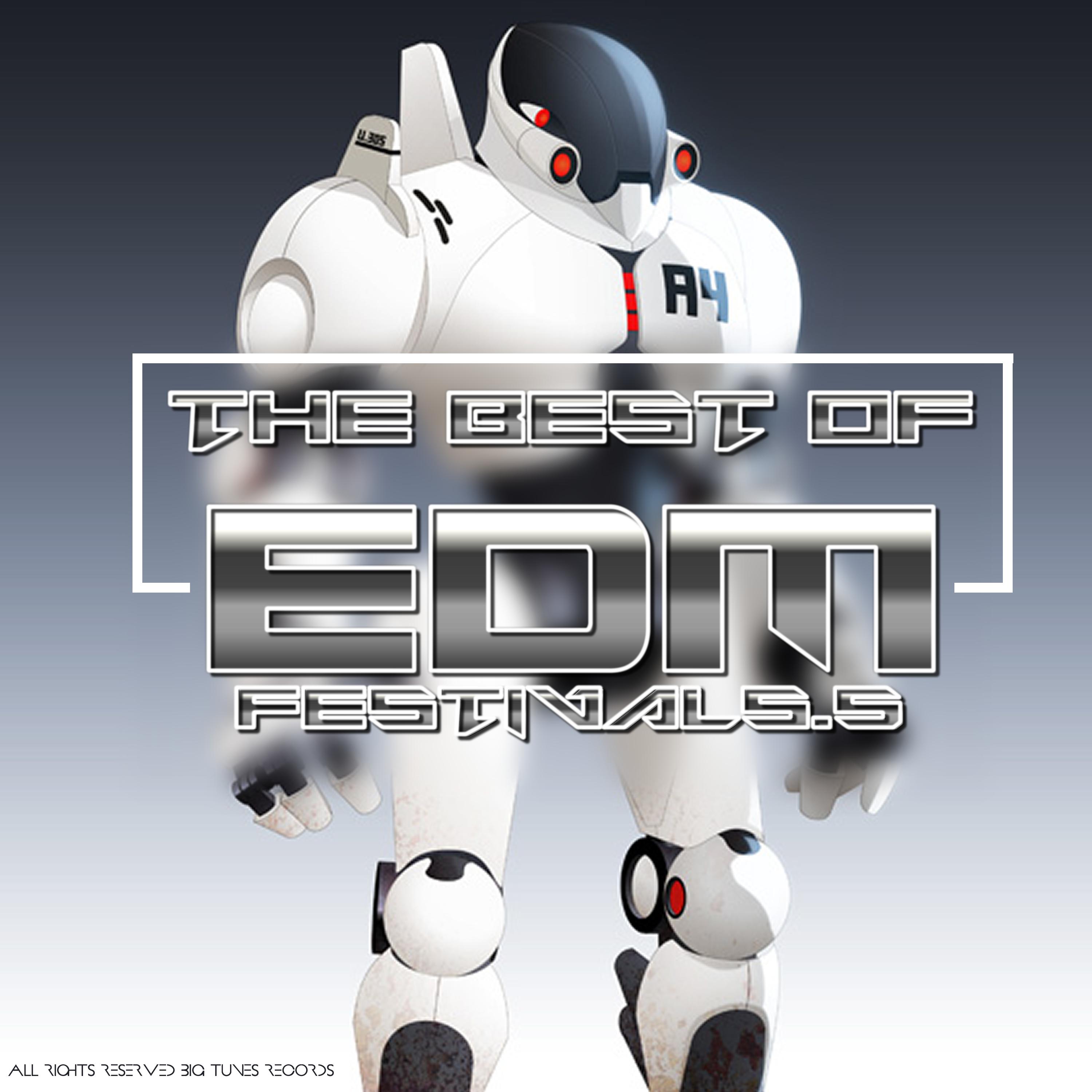 The Best Of EDM Festivals.5