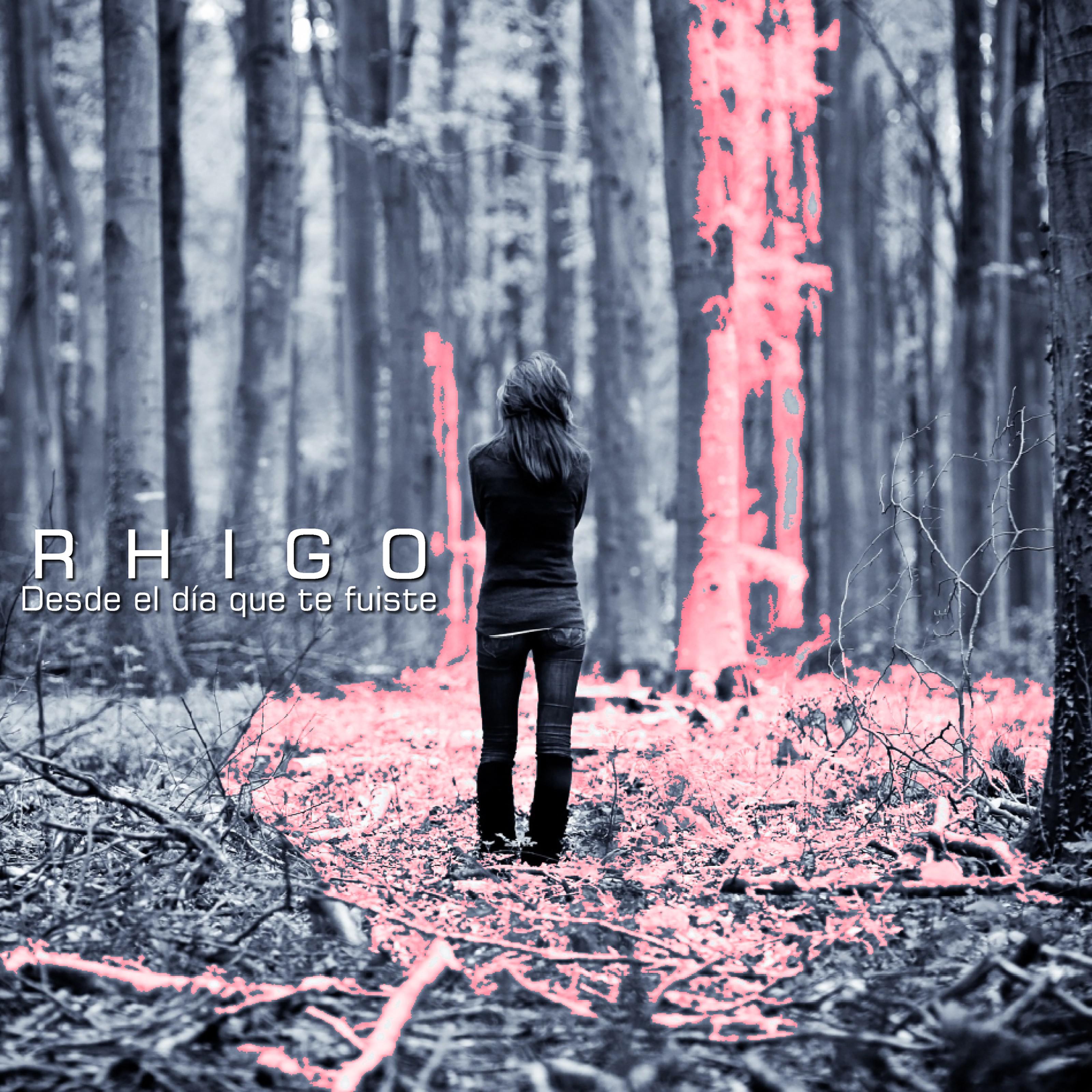 Desde El di a Que Te Fuiste