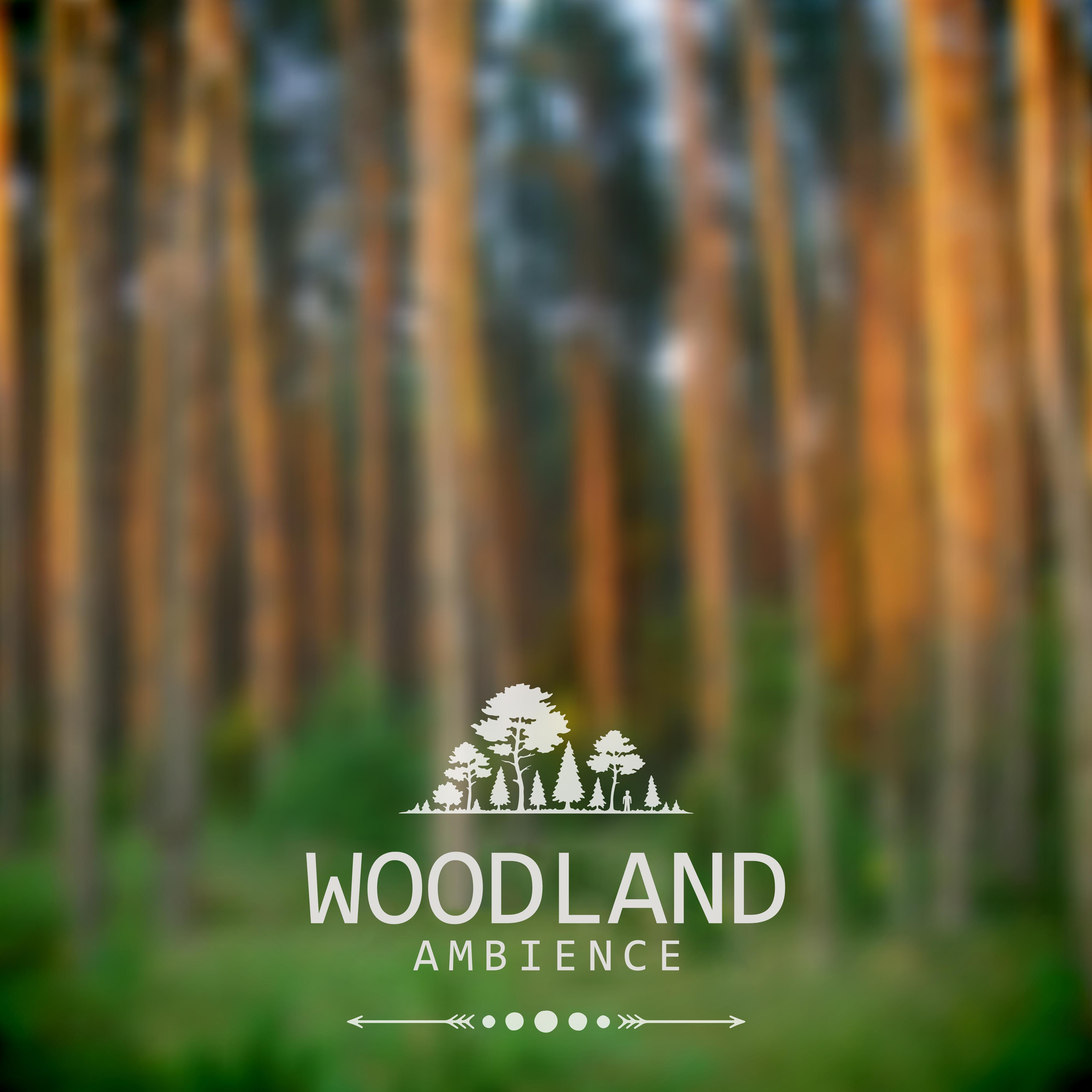 Woodland Ambience  Relaxing Sounds of Nature, Singing Forest Birds, Music for Moments of Relaxation and Rest, Gentle Piano Melodies in the Background of Nature