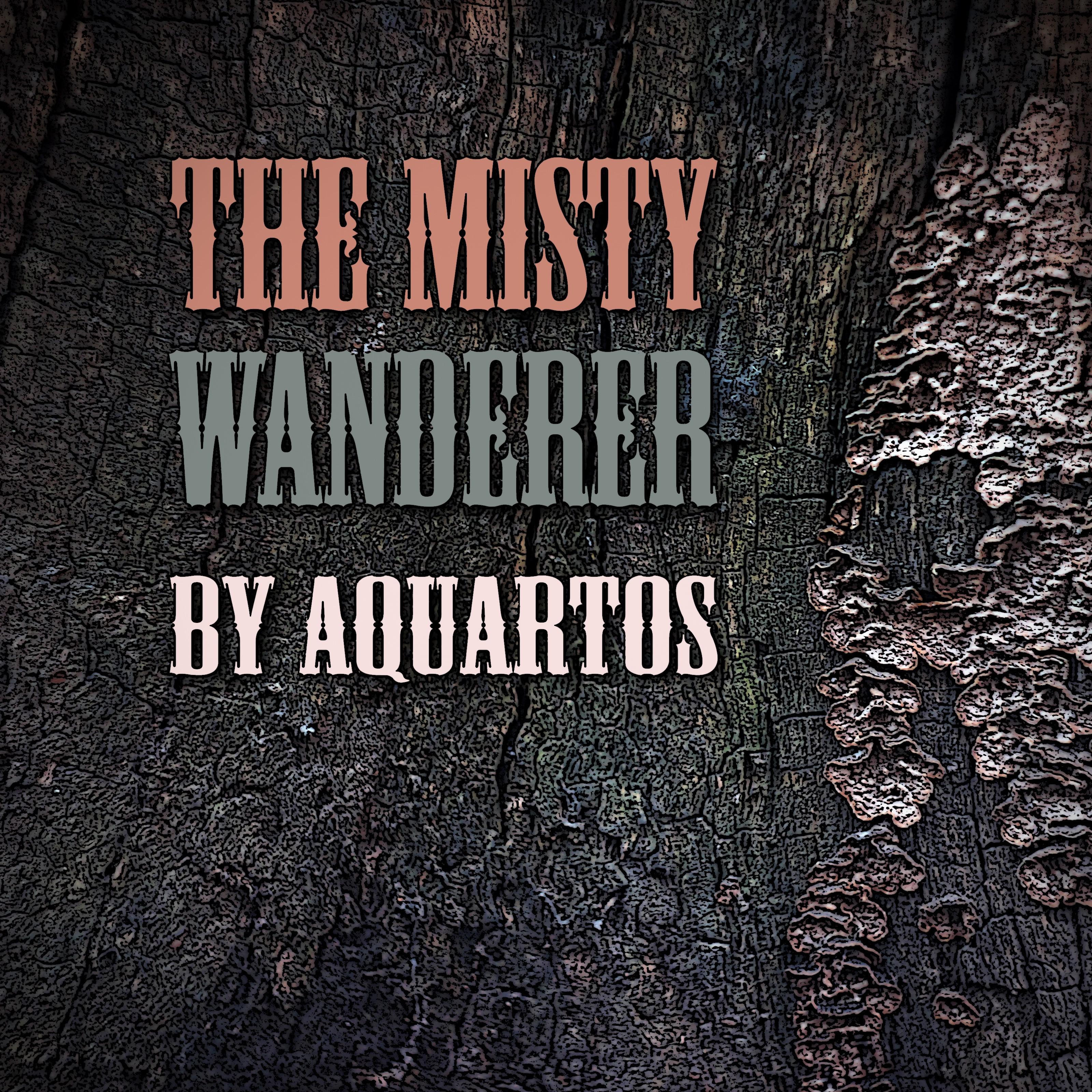 The Misty Wanderer