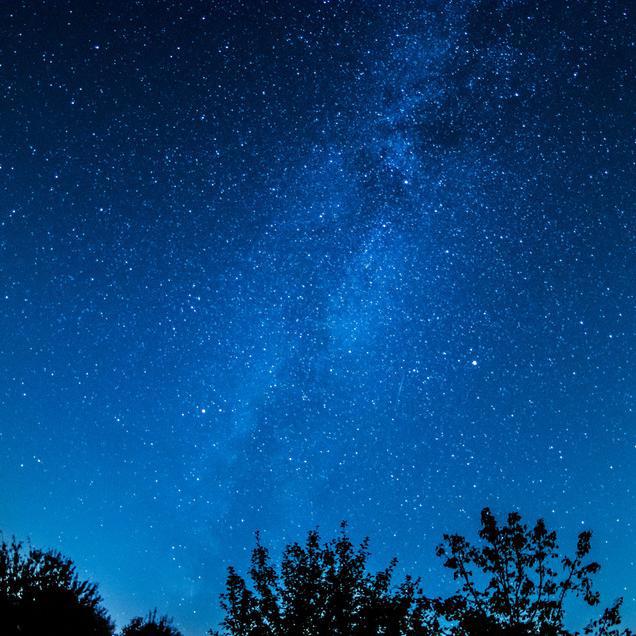 ni de bei hou yi ding man shi can lan