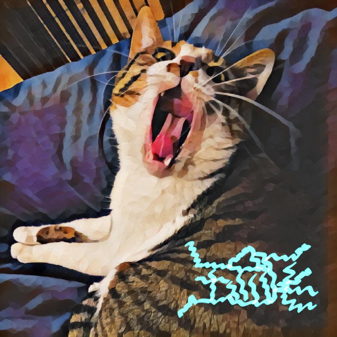 yao zai fei fei de peng you quan zhang kong lei dian