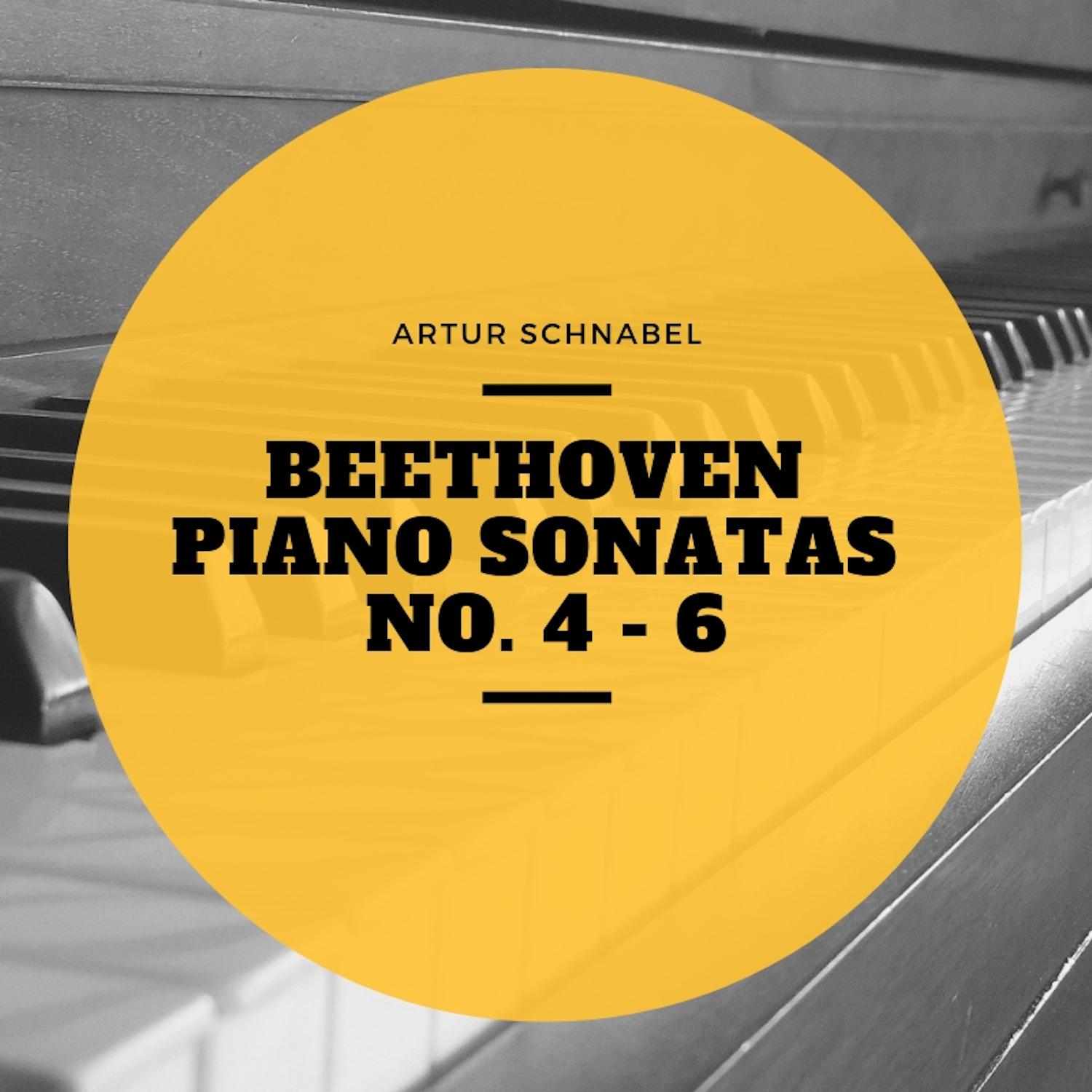 Piano Sonata No. 4, In E Flat MInor, Op. 7 : IV. Rondo, Poco Allegretto E Grazioso