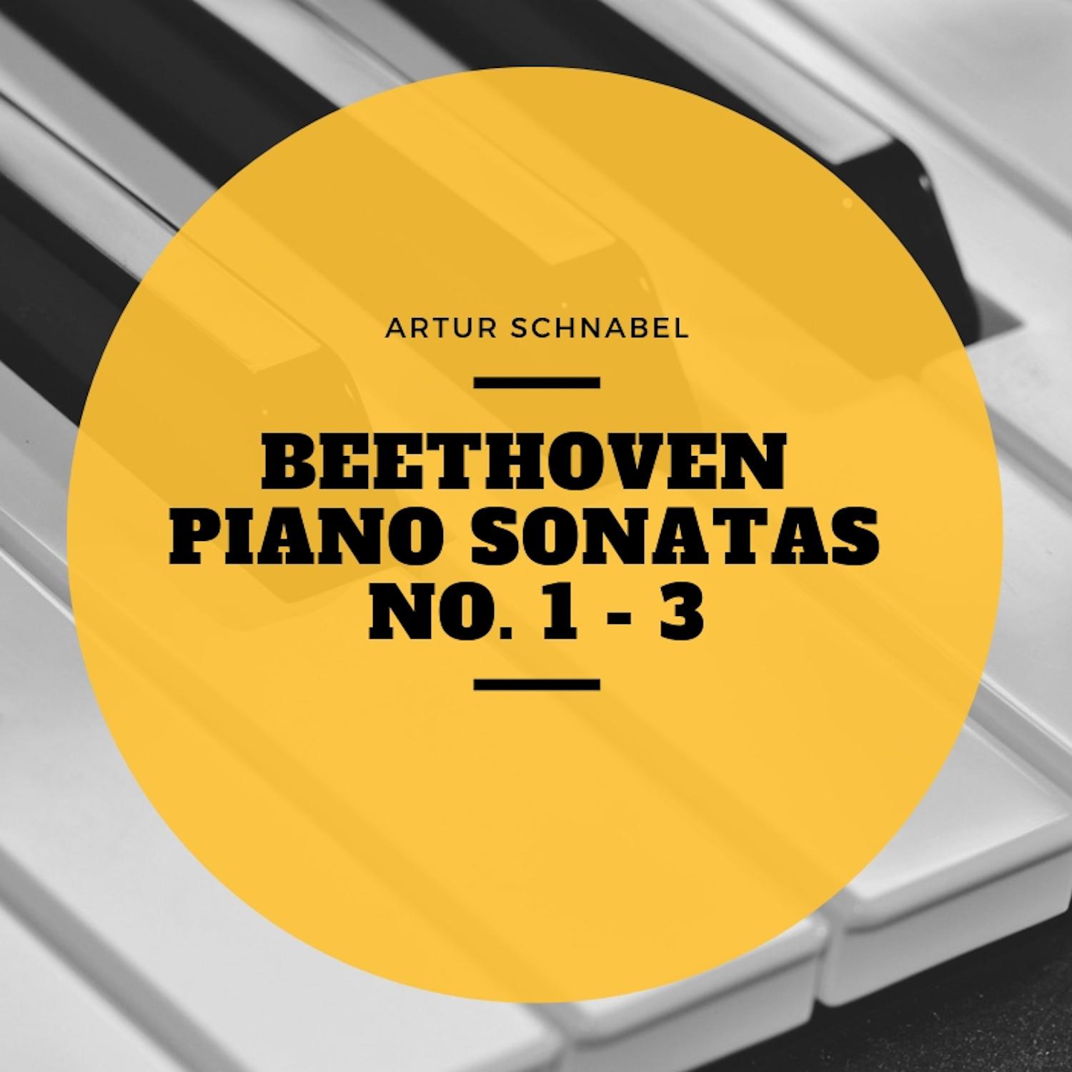 Piano Sonata No. 3 In C Major, Op. 2 No. 3 : I. Allegro Con Brio