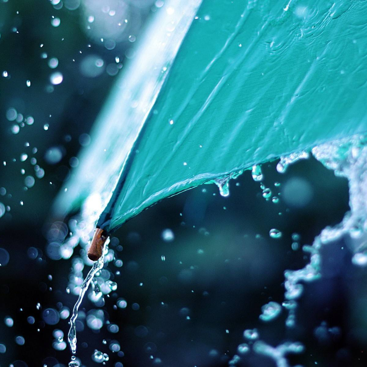 wo mei huai lian ni zhong zuo ban hook ban zou