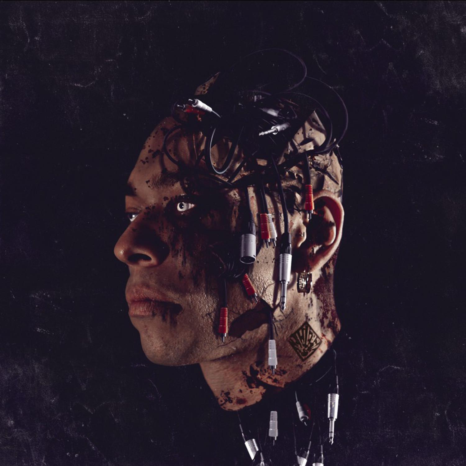 Bienvenue dans notre Univers