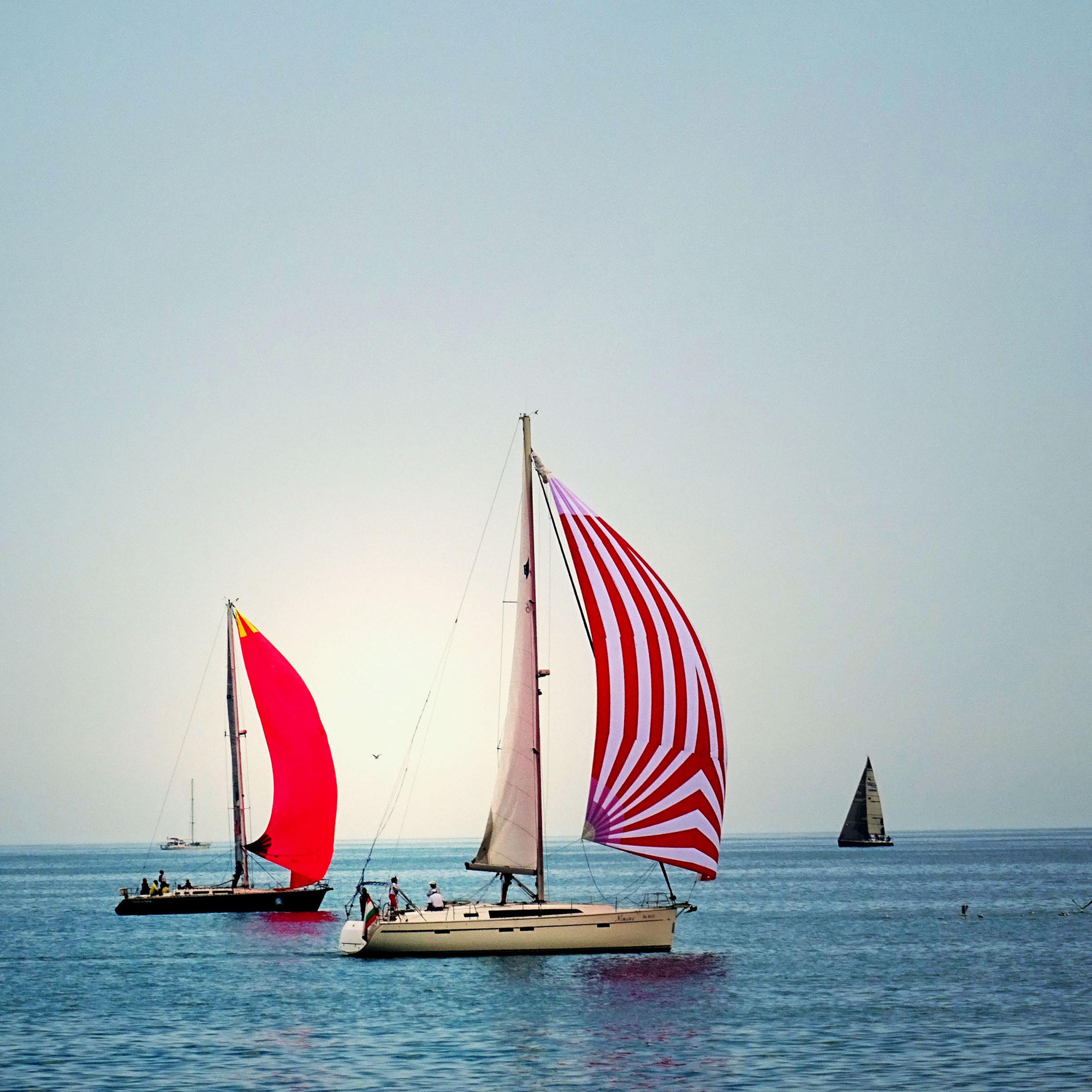 Fresh New Age Music For My Aching Body And Heart