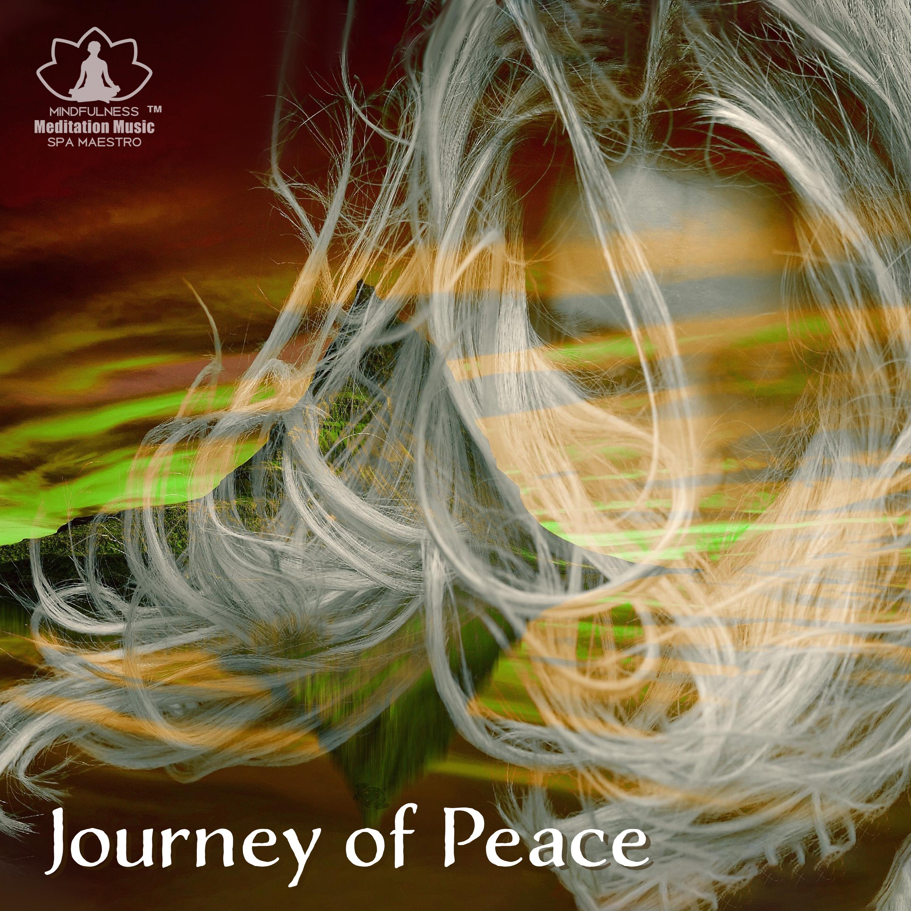 Journey of Peace (Liquid Mind Meditation)