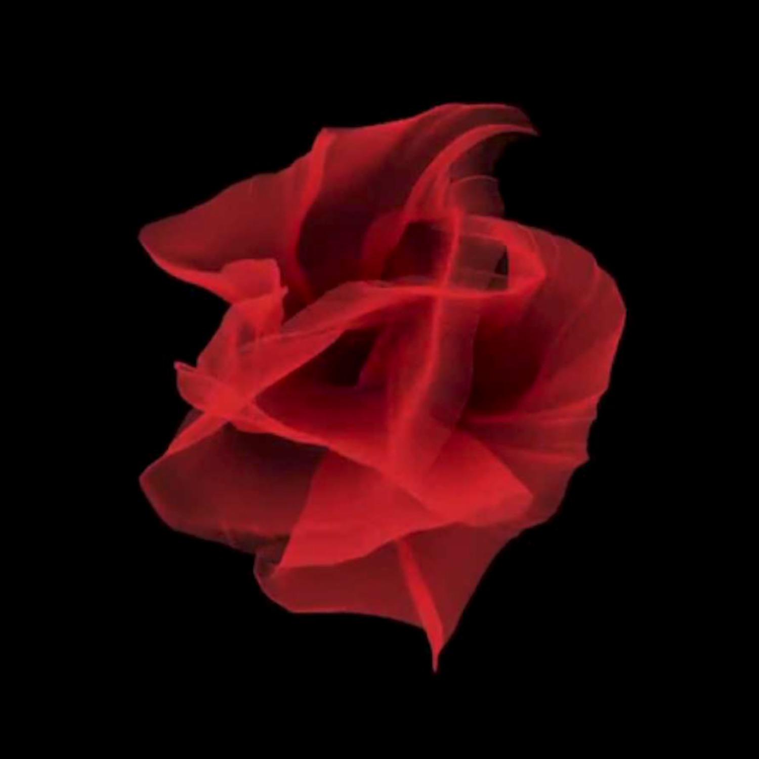 La fleur Fundacio n Josep Carreras Documental Original Soundtrack