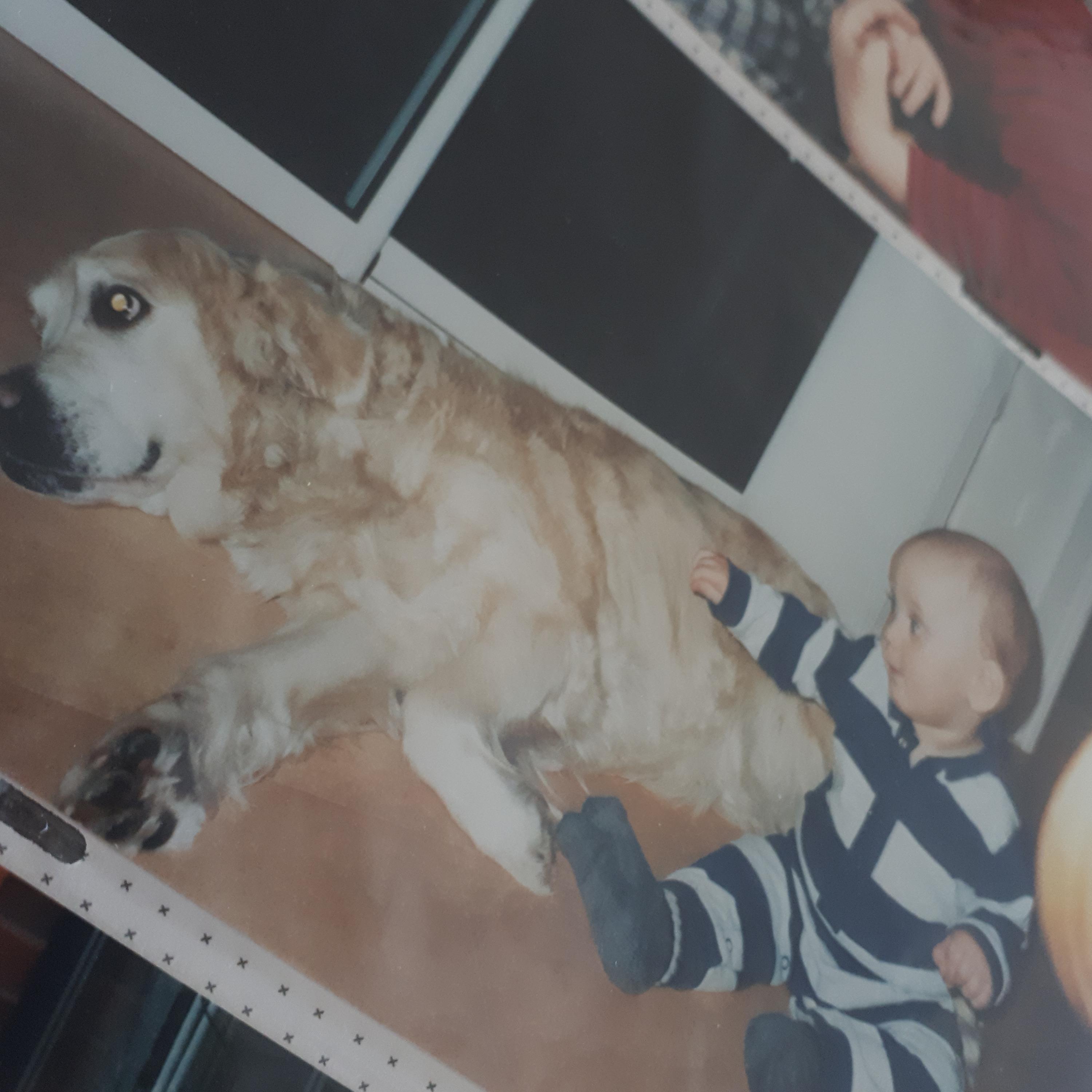 Snuffboy's Collection of Bad Beats (Volume II)