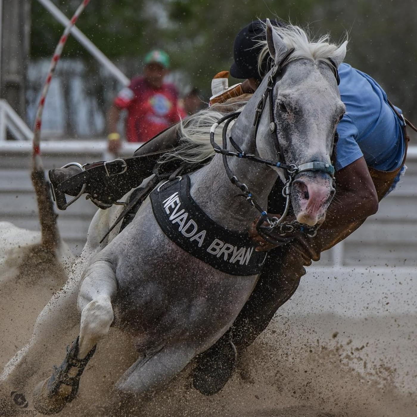 Diferente N o, Estranho