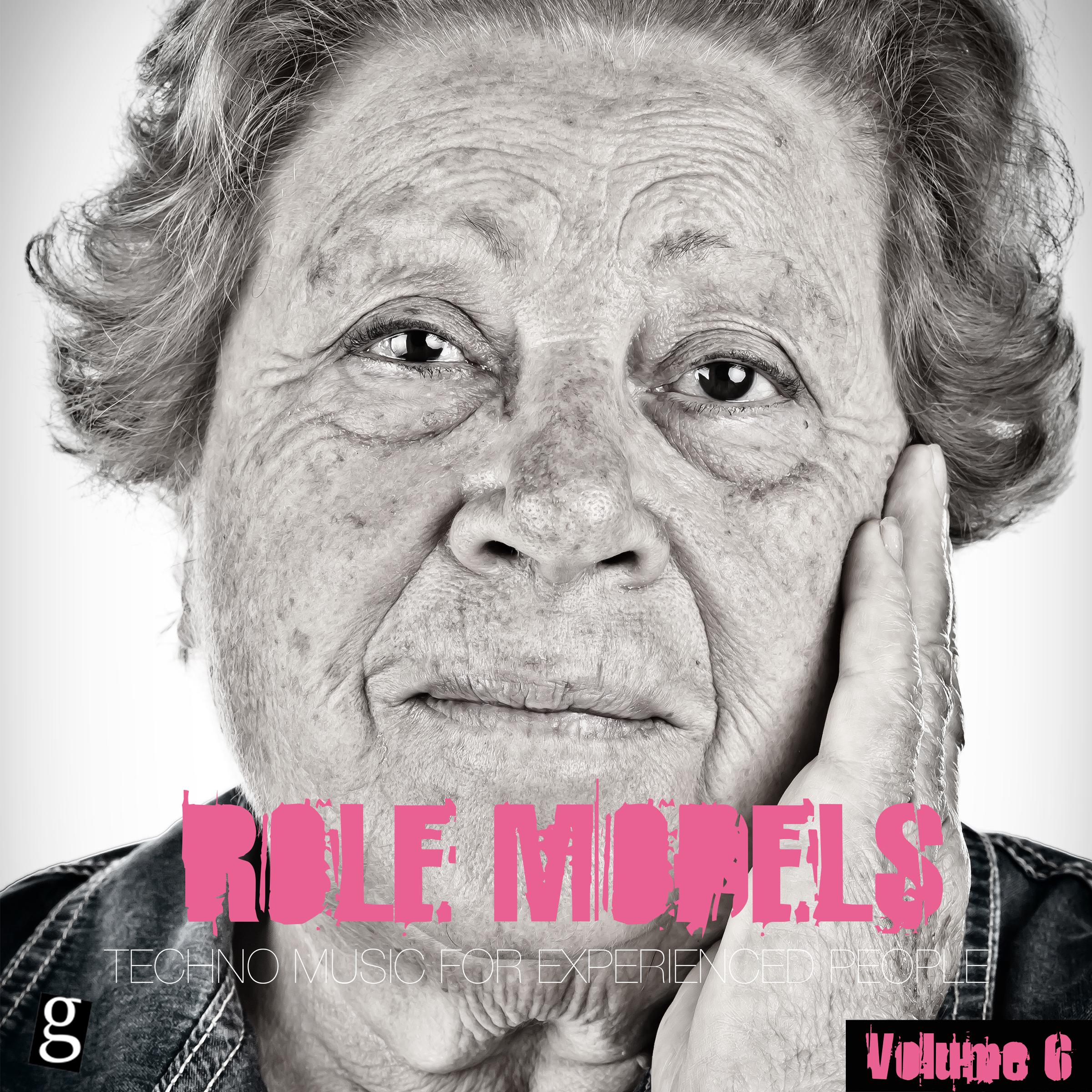 Role Models, Vol. 6 - Techno Music for Experienced People