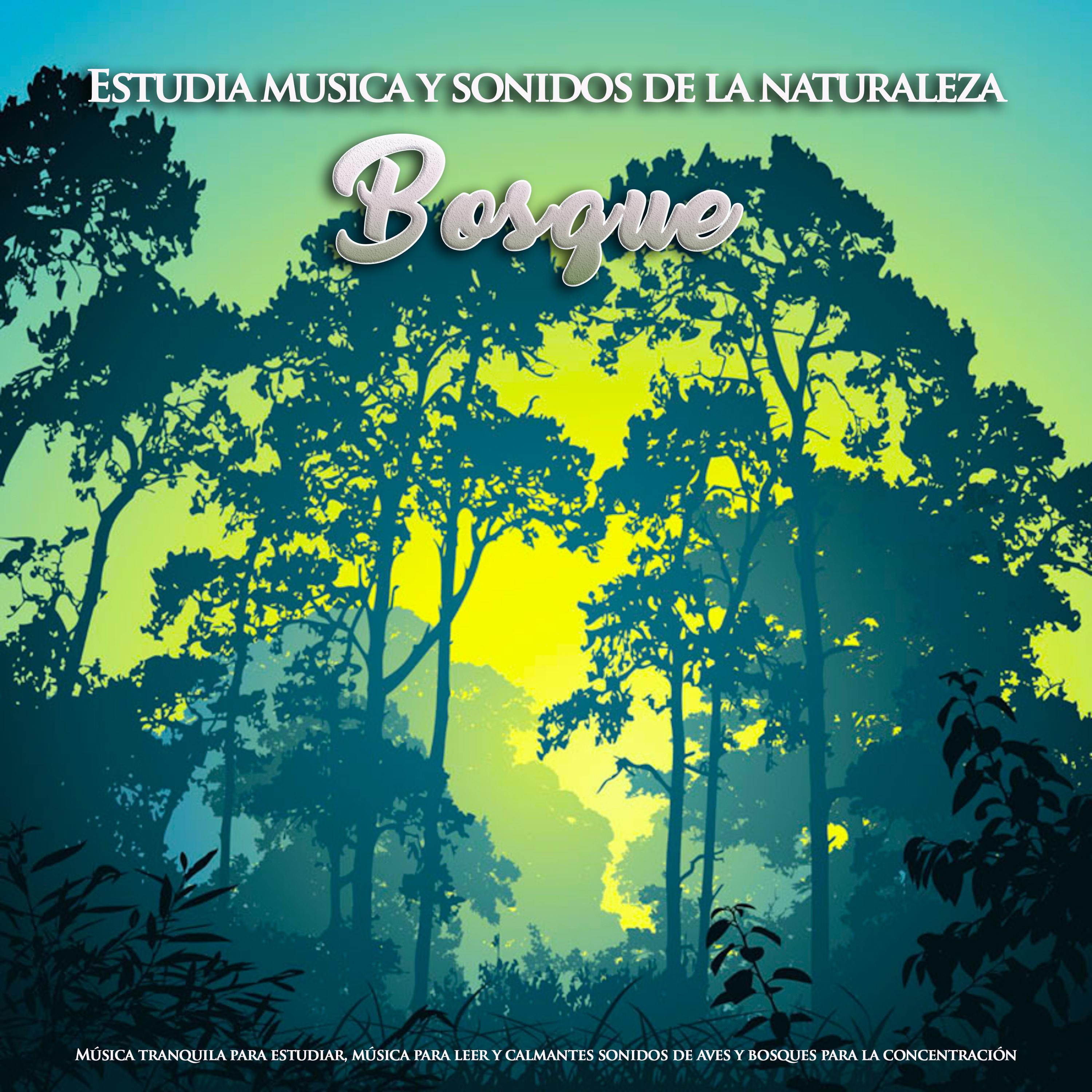 Estudia musica y sonidos de la naturaleza: Mu sica tranquila para estudiar, mu sica para leer y calmantes sonidos de aves y bosques para la concentracio n