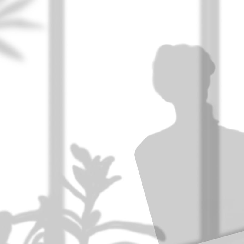 mo ze jia zhuang hui ying wen