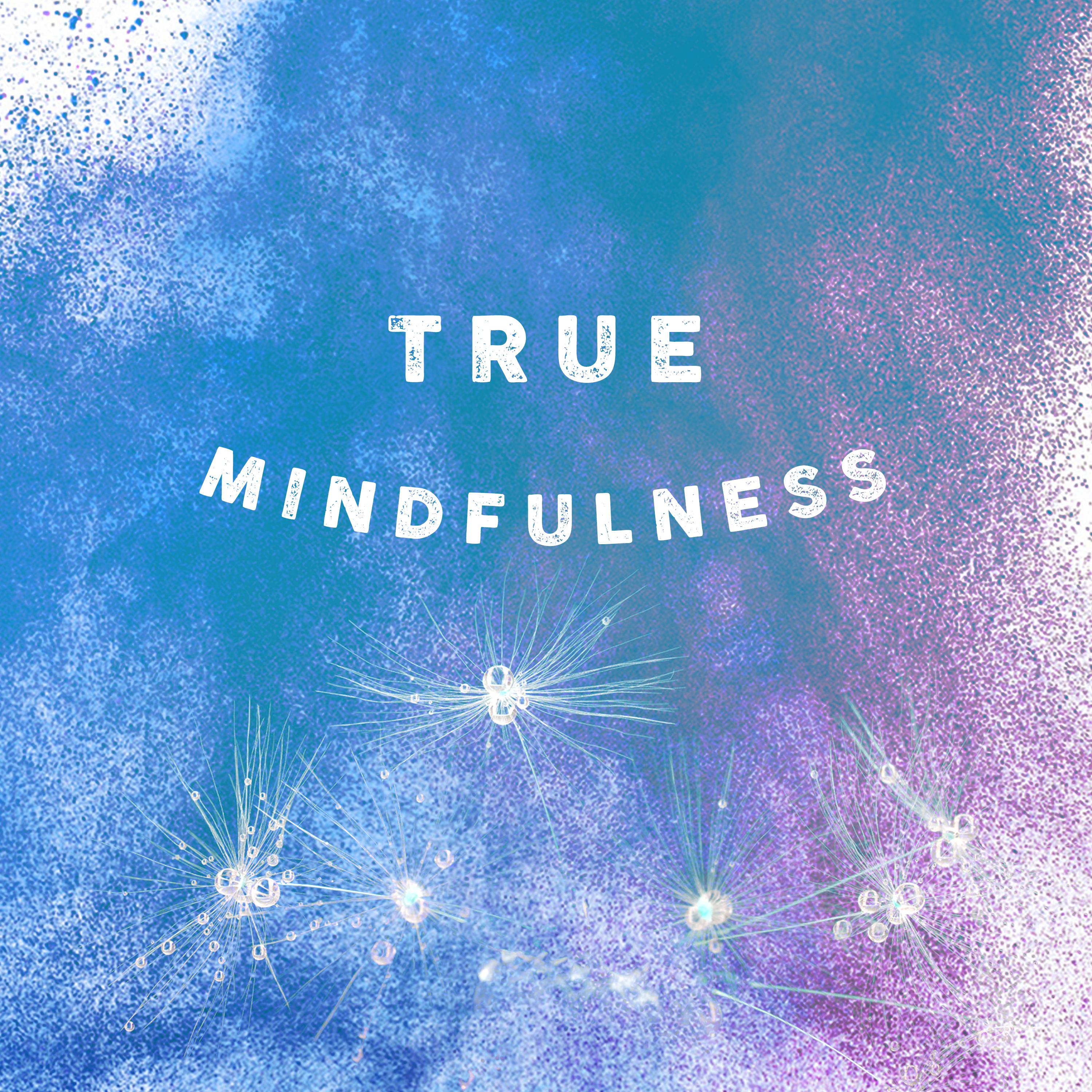 True Mindfulness