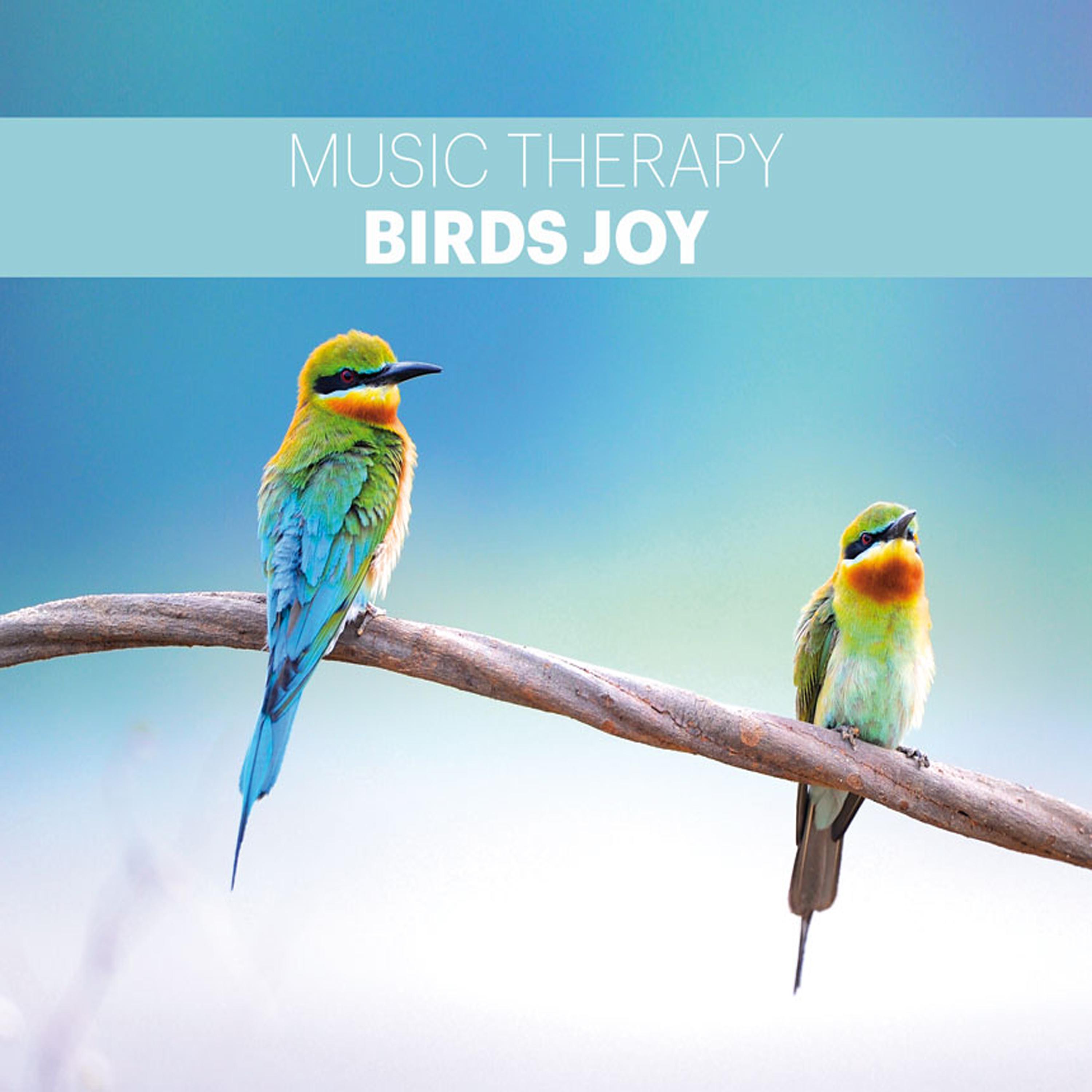 Birds Joy