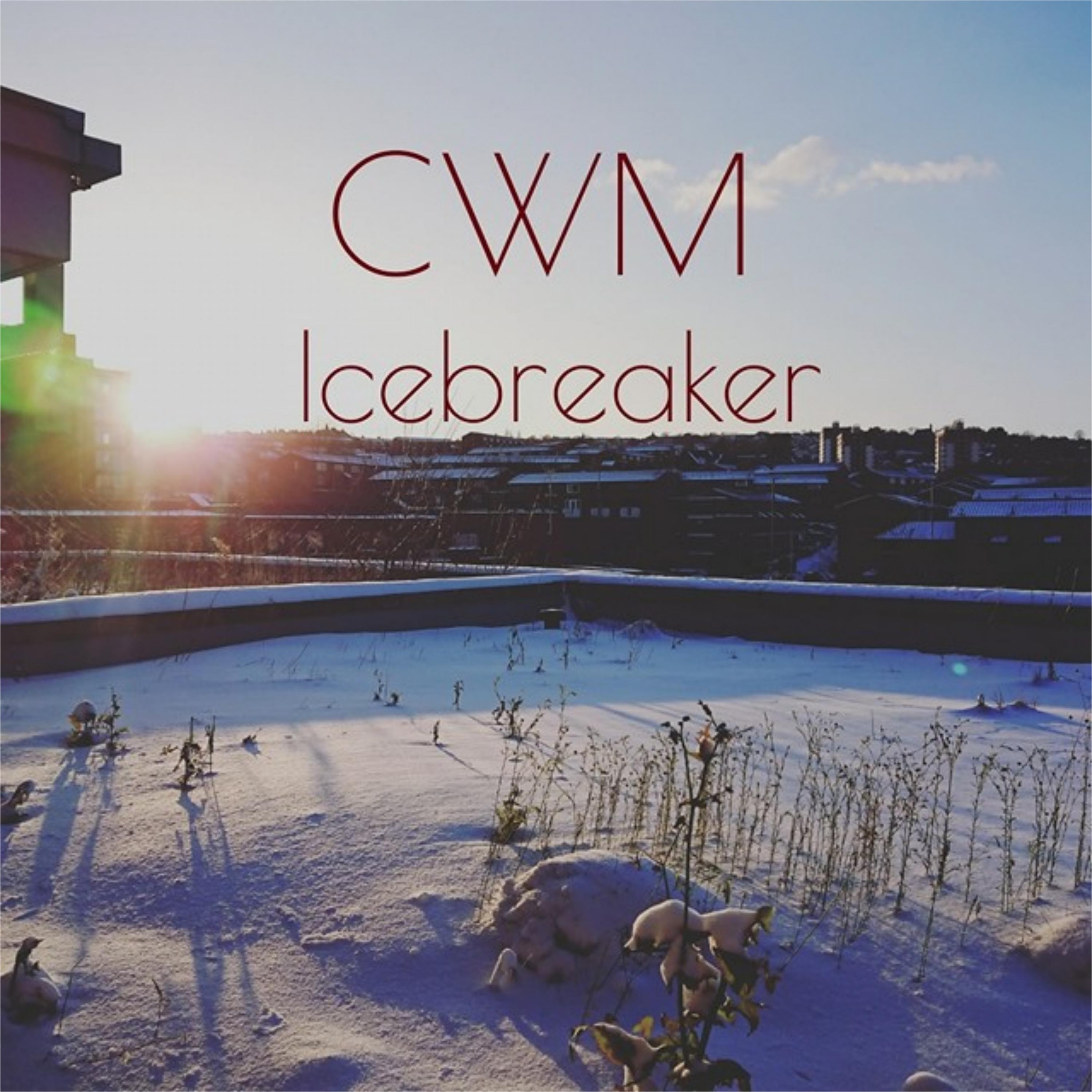 Icebreaker