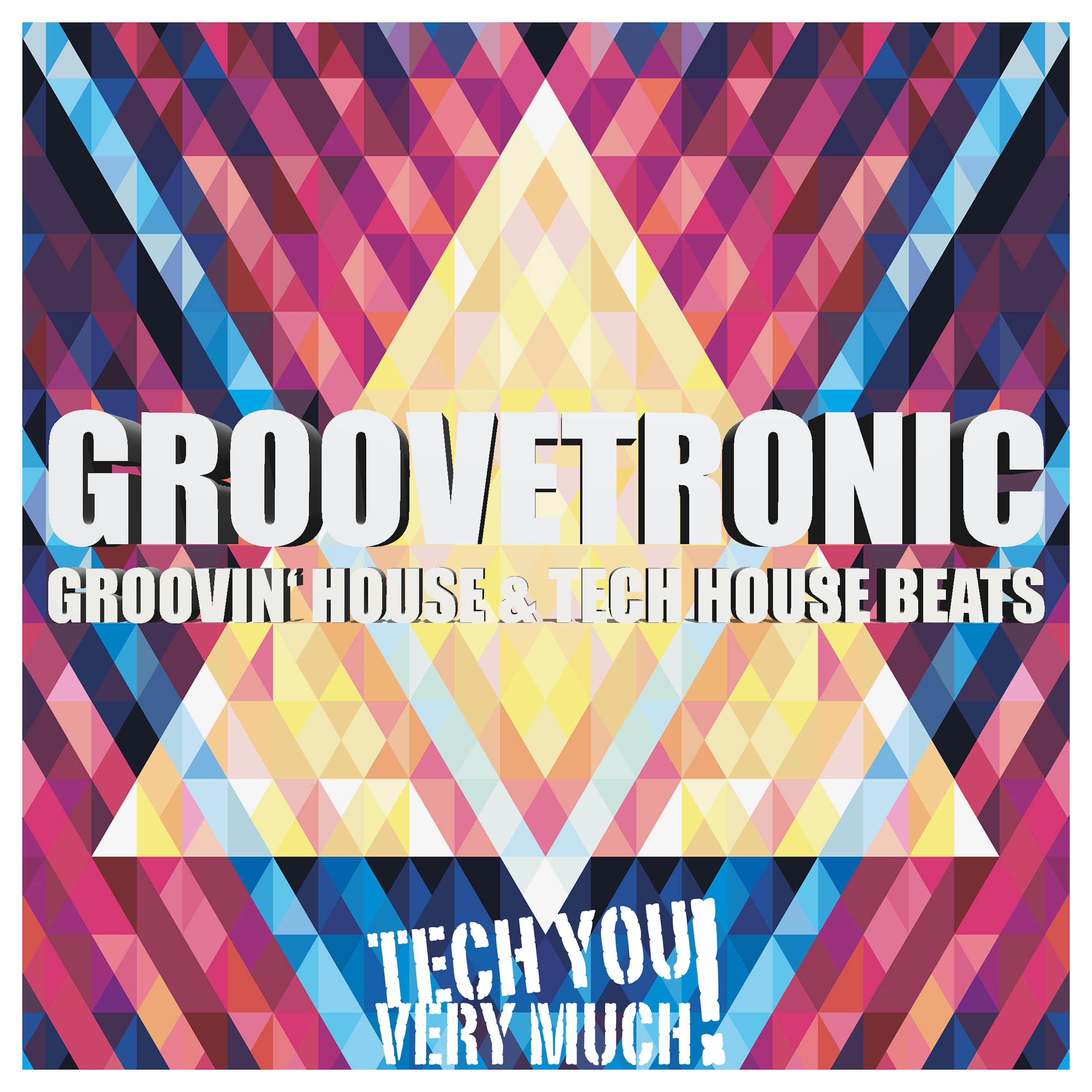 Groovetronic (Groovin House & Tech House Beats)